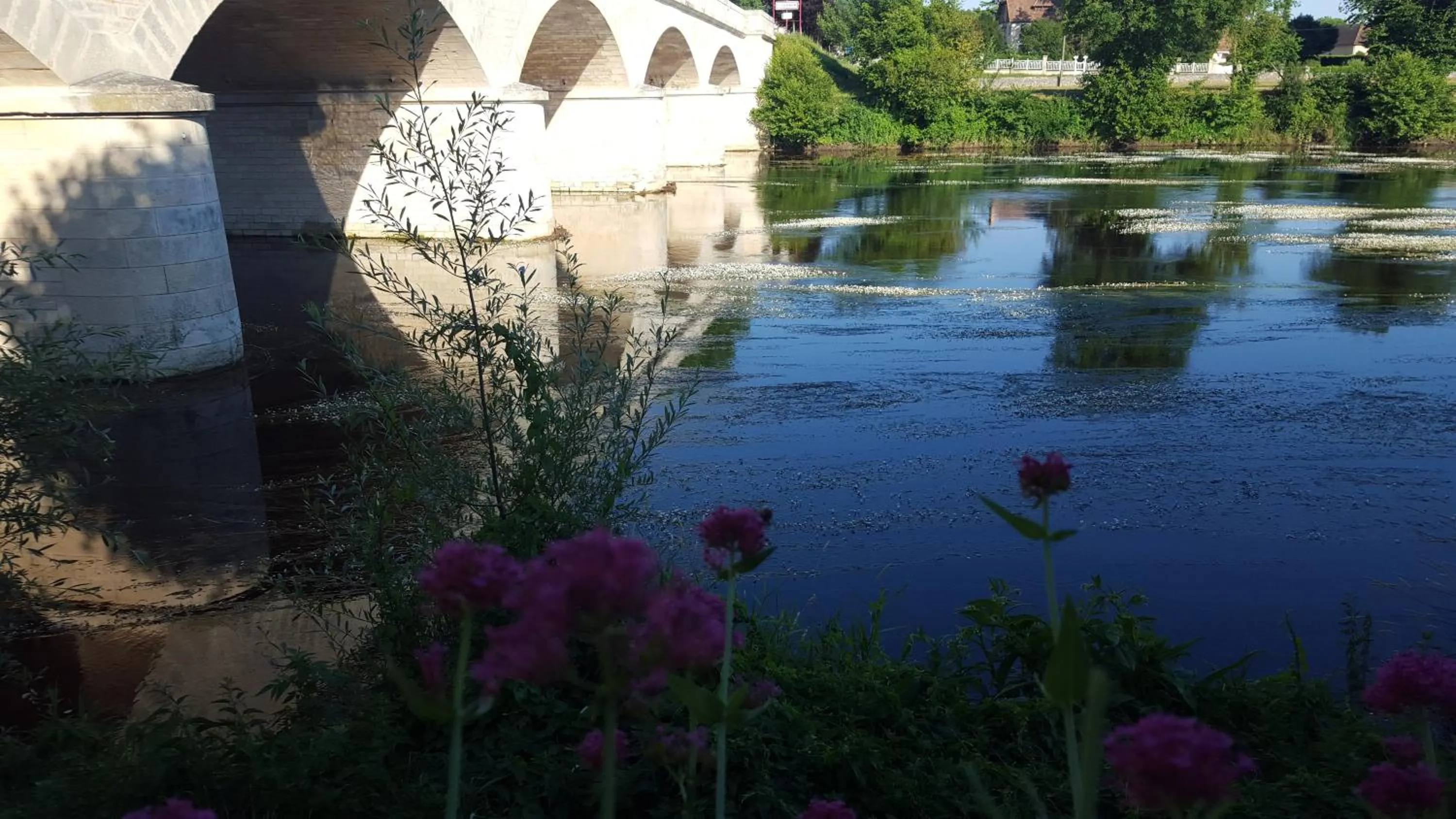 Nearby landmark in Hôtel de France