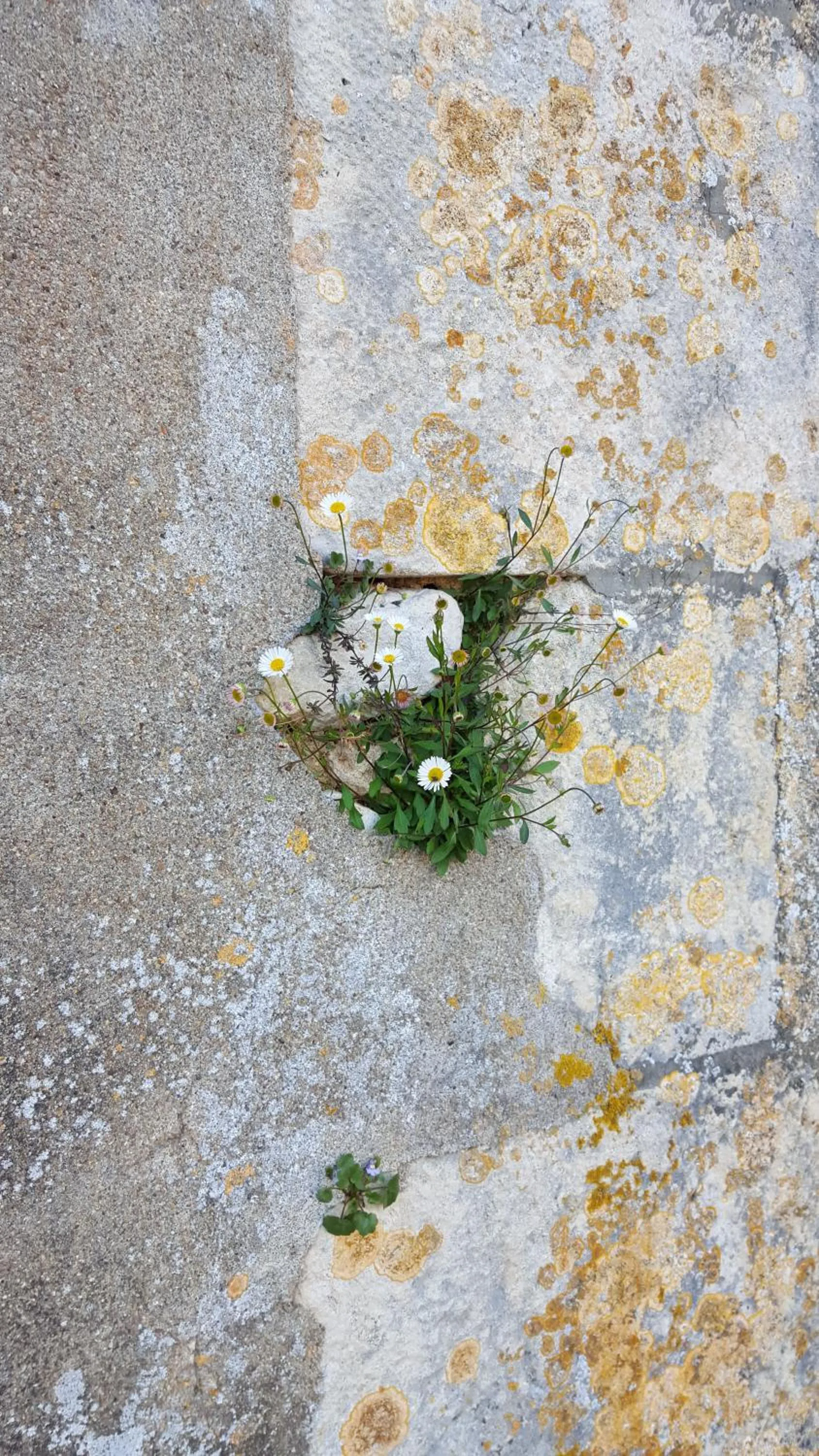 Nearby landmark in Hôtel de France