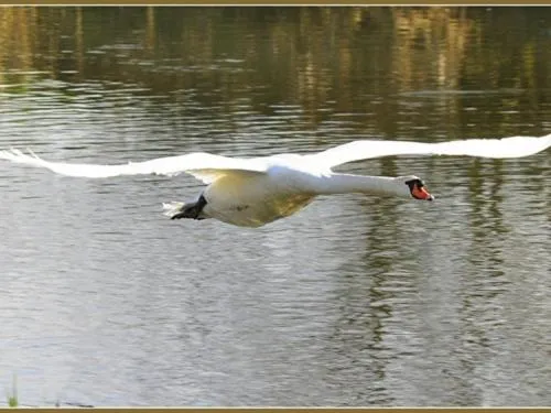 View (from property/room) in Watermeadow Lakes & Lodges