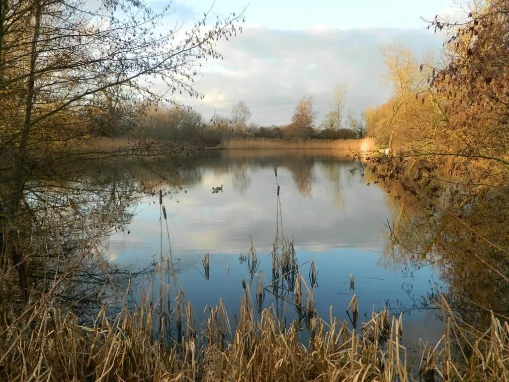 View (from property/room) in Watermeadow Lakes & Lodges
