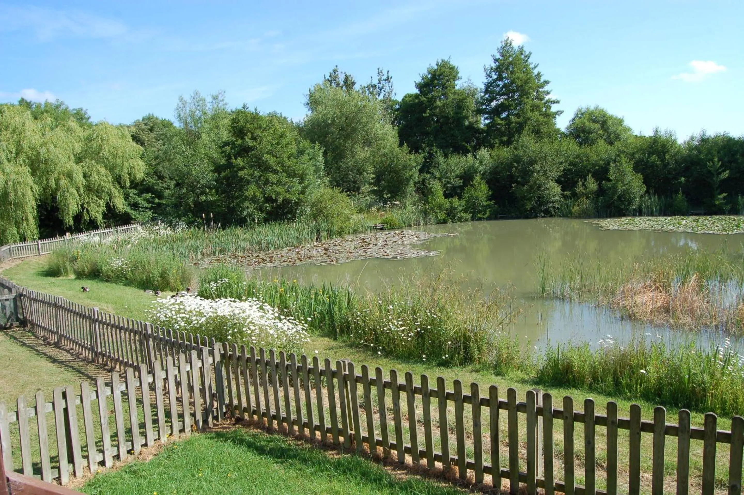 Garden in Watermeadow Lakes & Lodges