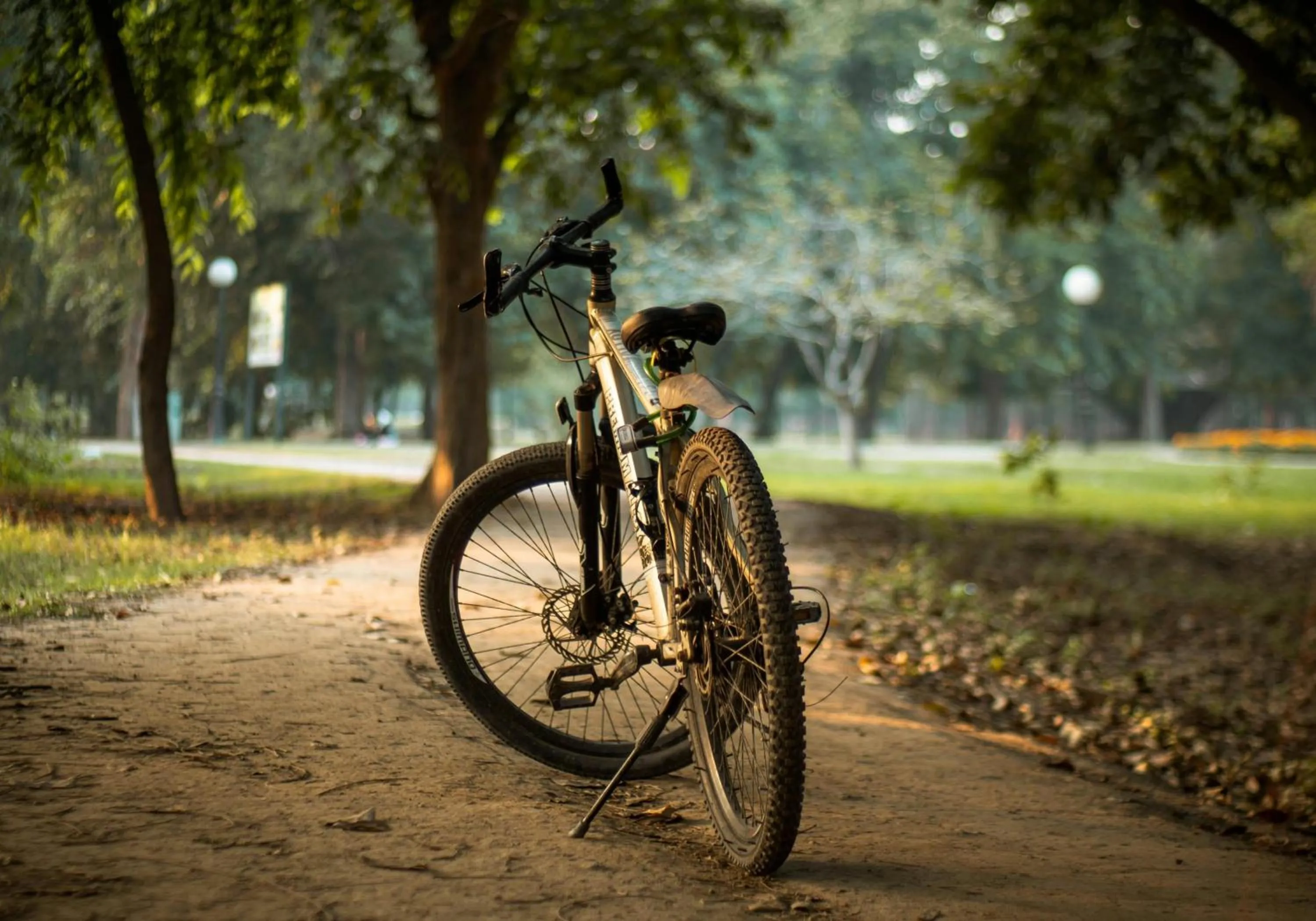 Cycling in Crisol La Selva