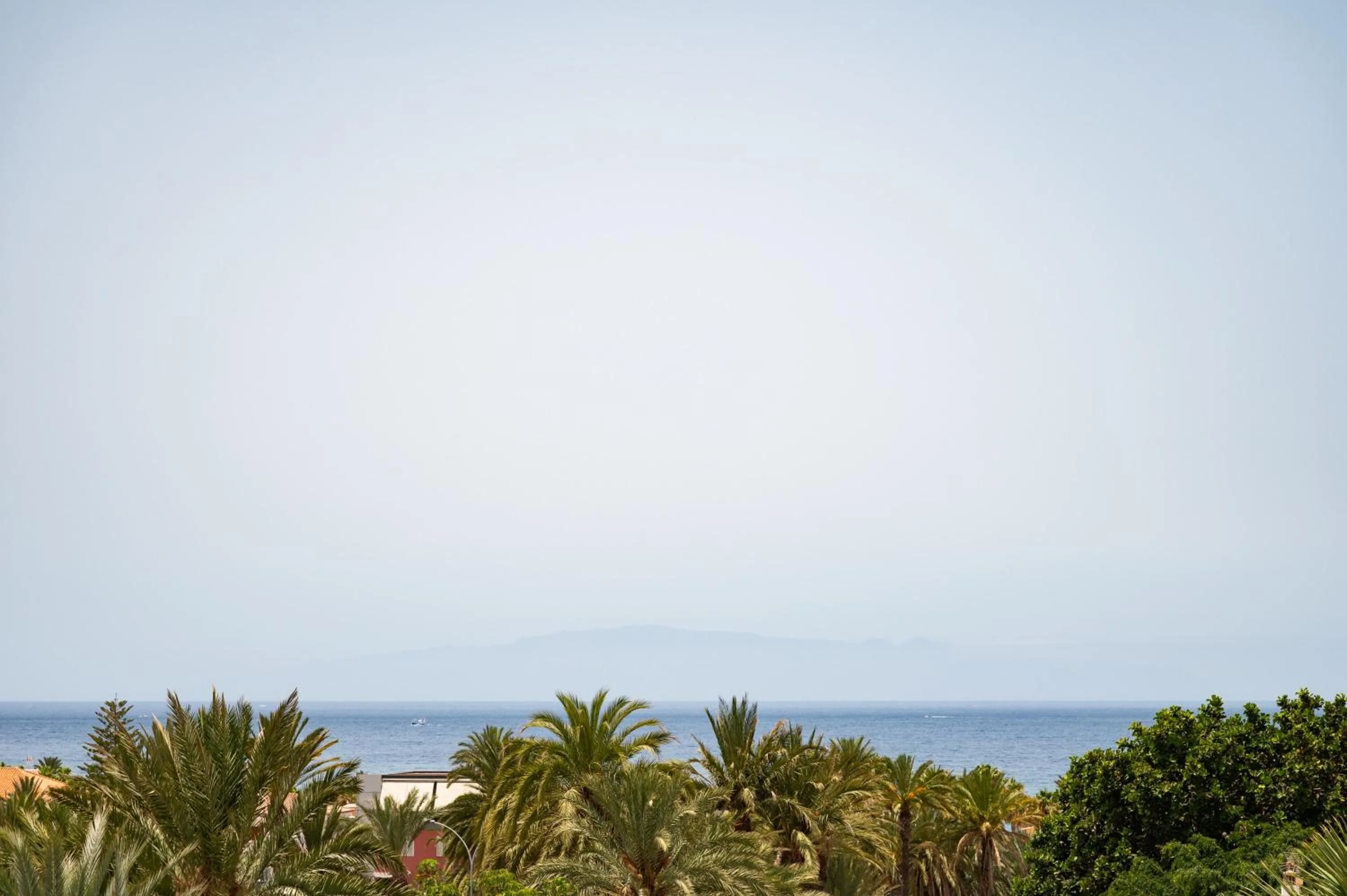 Natural landscape in BARRANCO Chic! Apartments by ALEGRIA