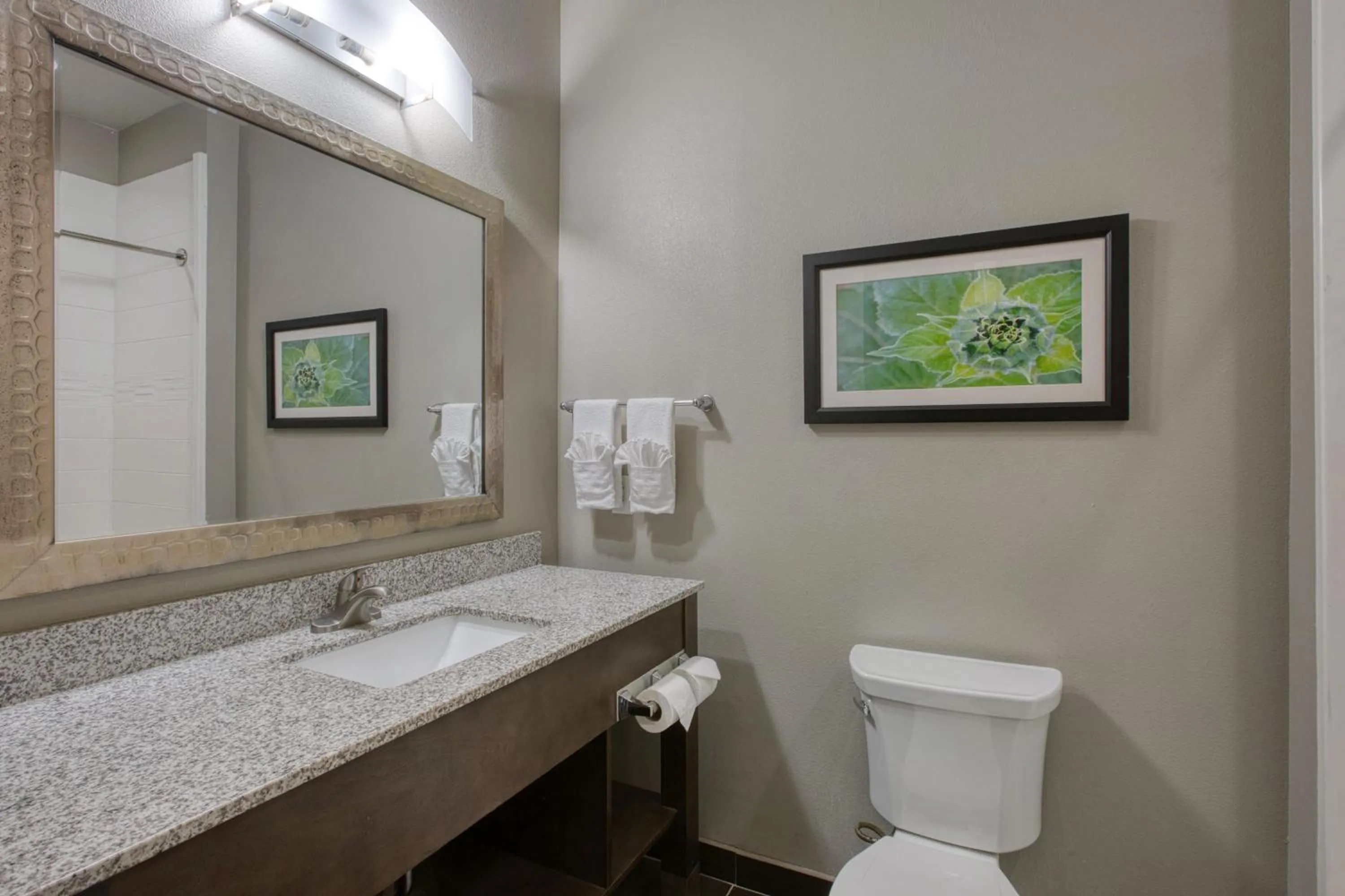 Bathroom in Best Western Plus Tech Medical Center Inn