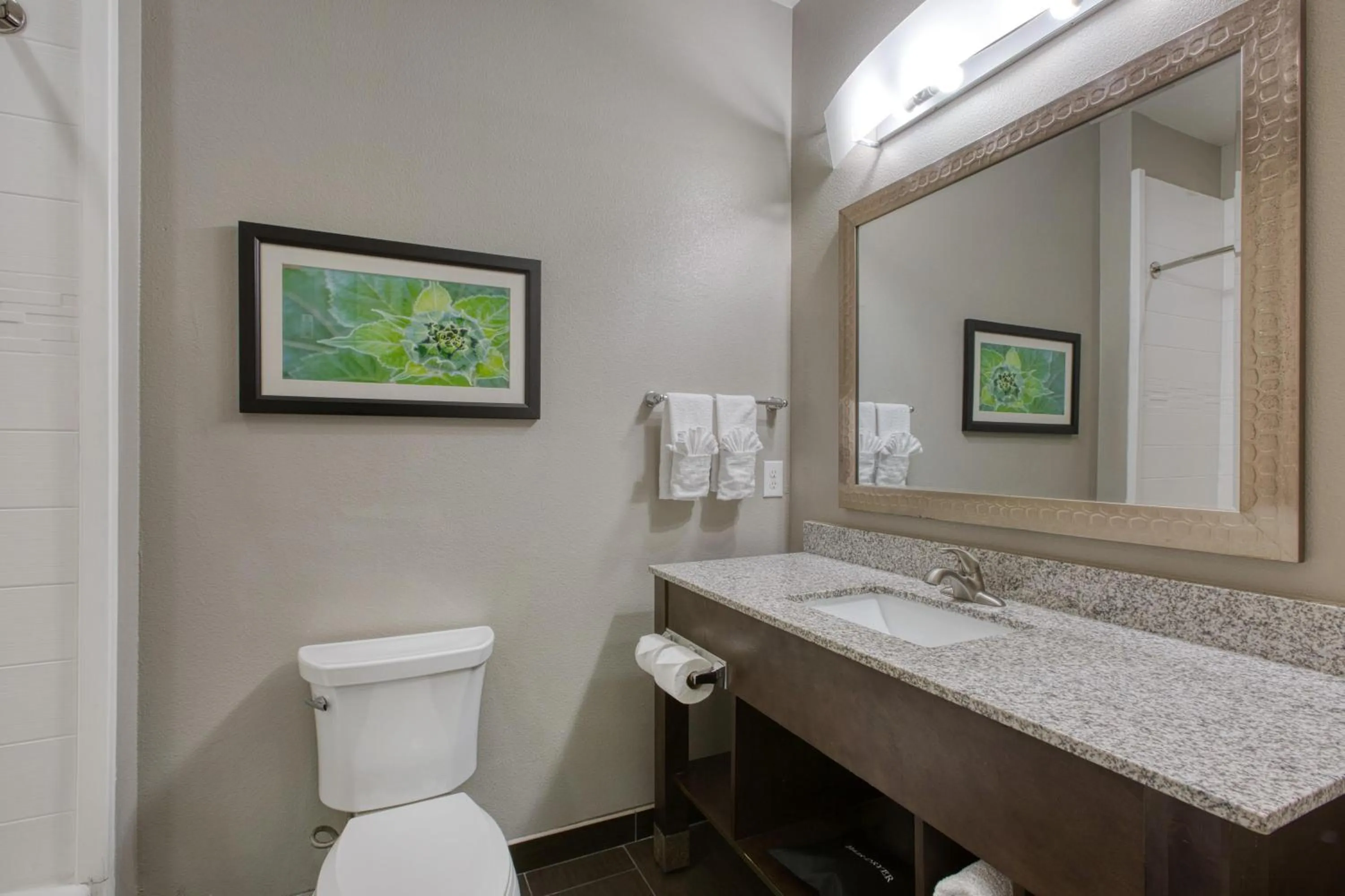 Bathroom in Best Western Plus Tech Medical Center Inn