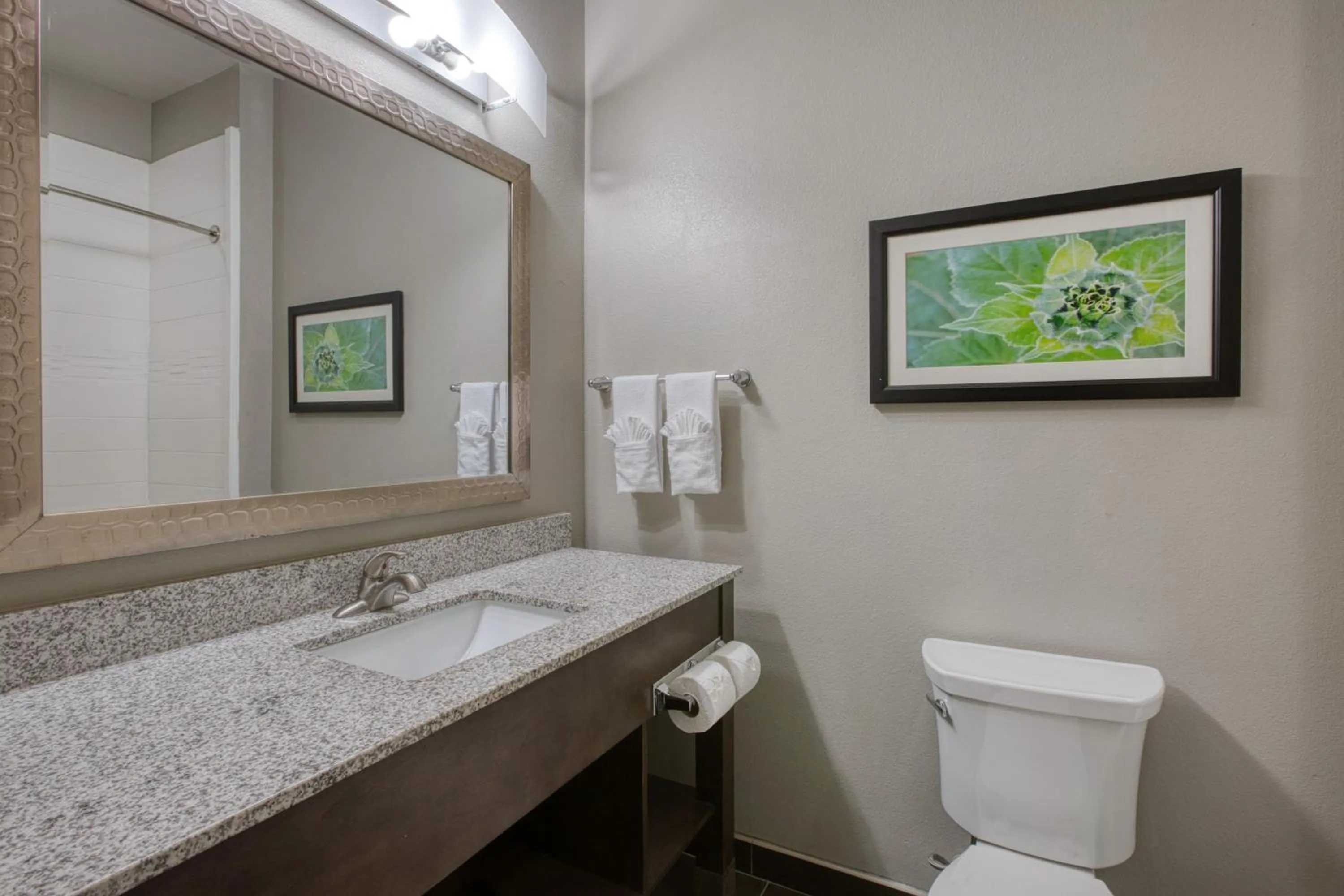 Bathroom in Best Western Plus Tech Medical Center Inn