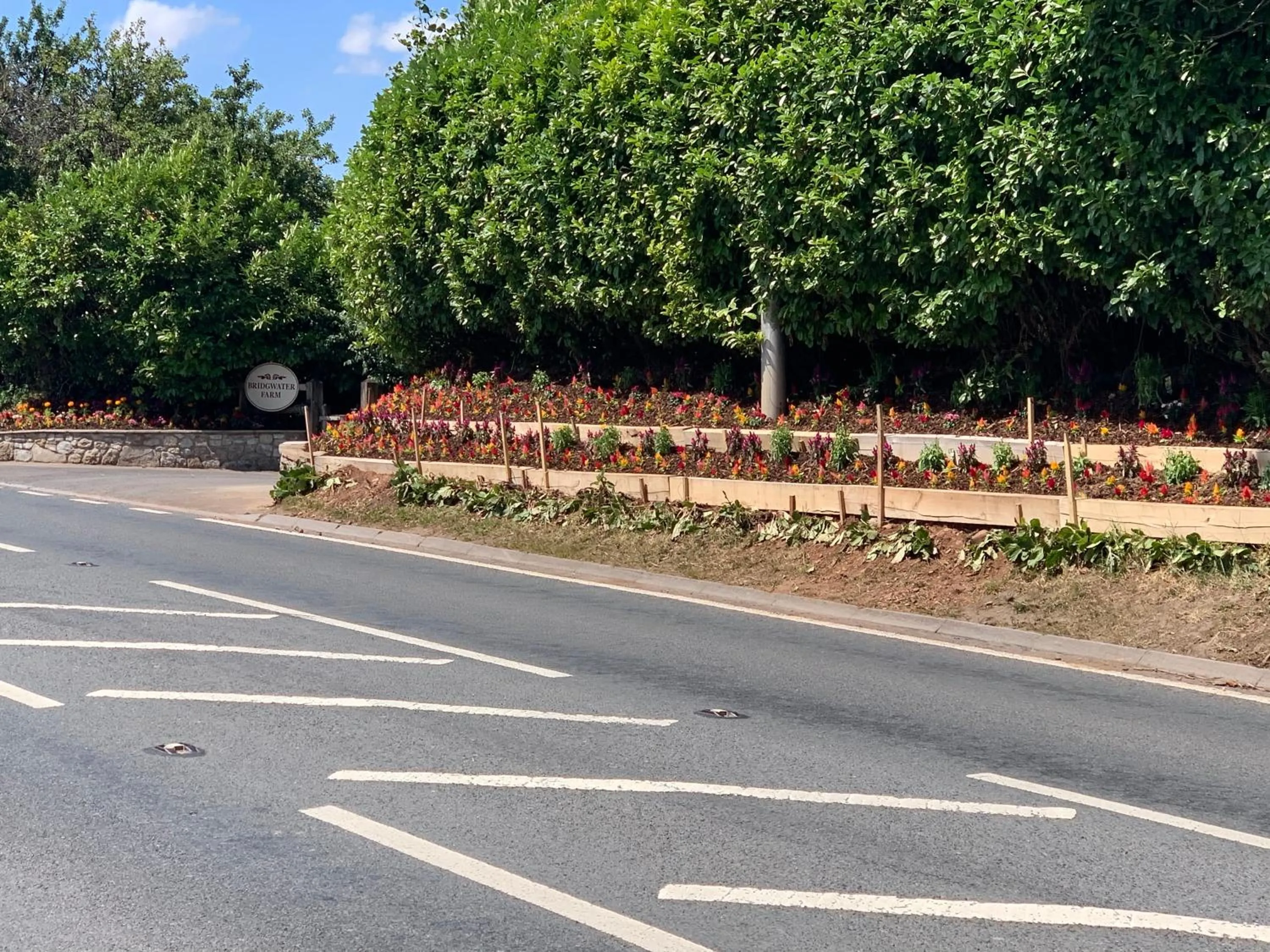 Garden in Bridge Farm Guesthouse rooms