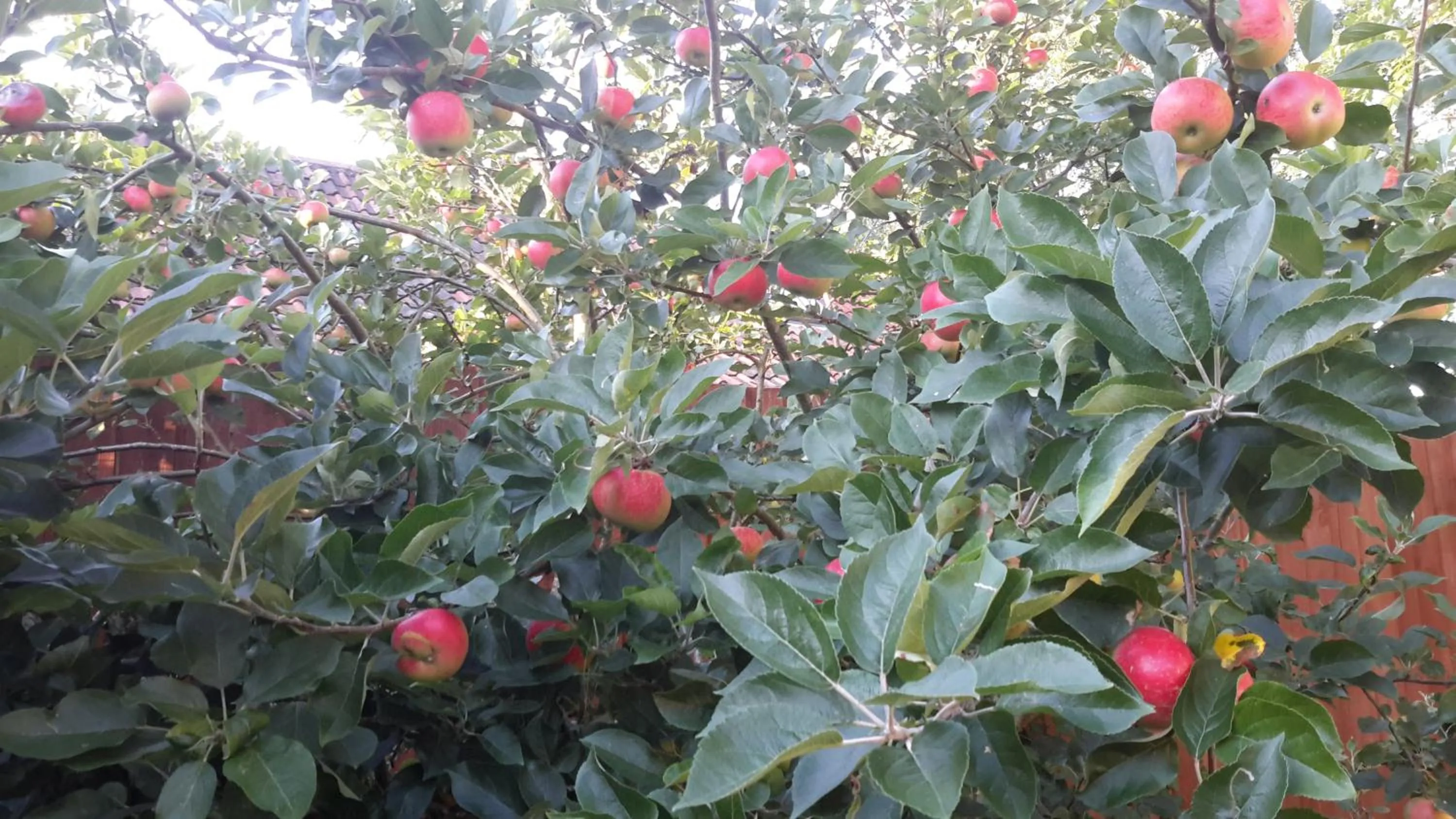 Natural landscape in Bridge Farm Guesthouse rooms