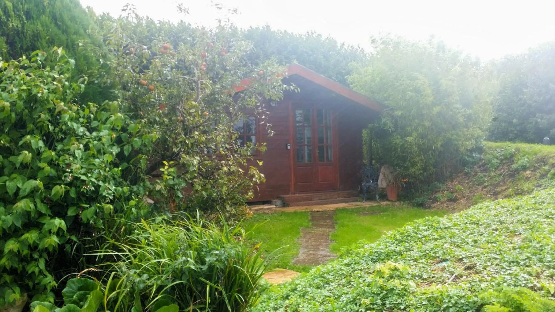 Garden in Bridge Farm Guesthouse rooms