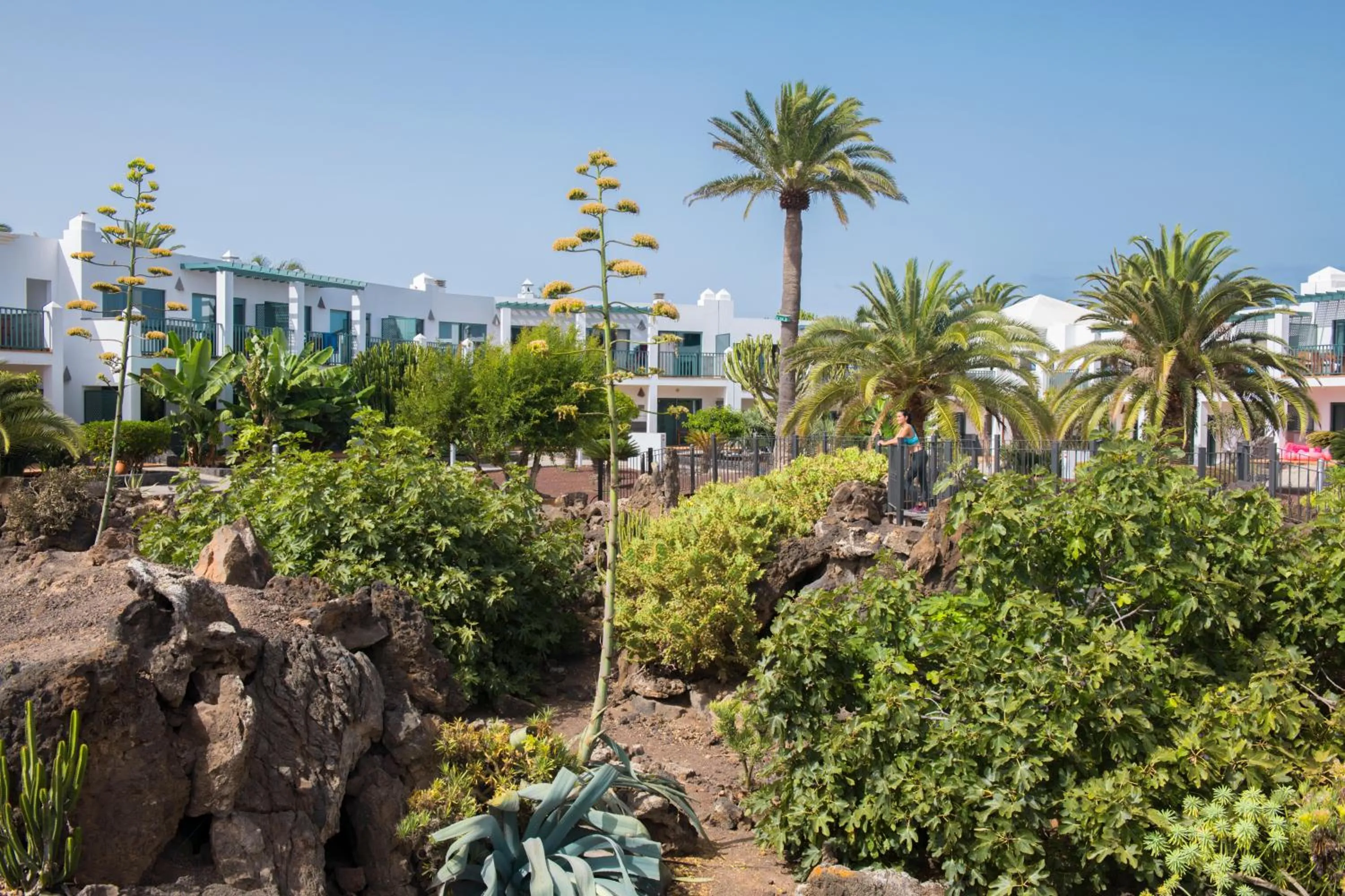 Garden in Las Marismas de Corralejo