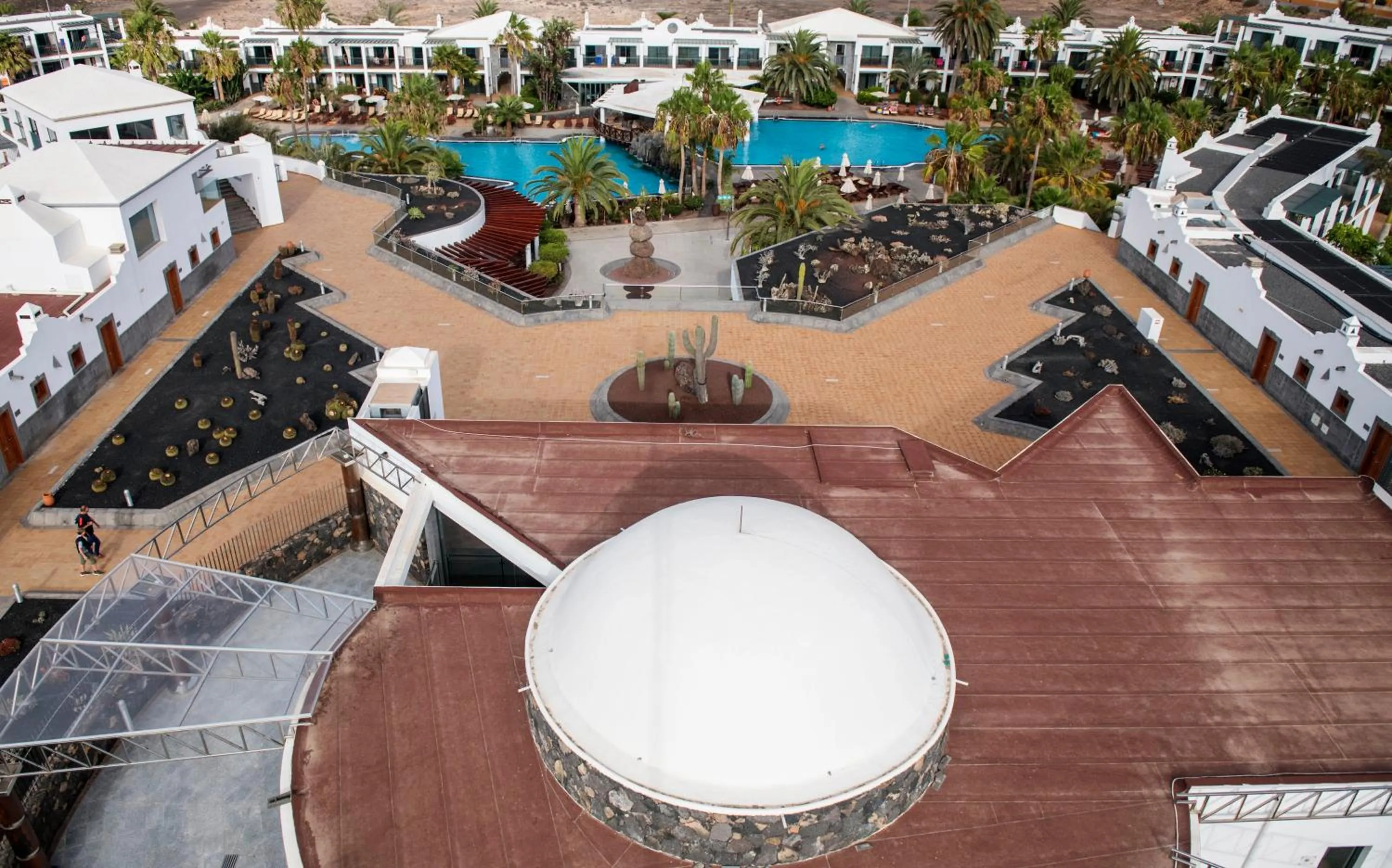 Bird's eye view in Las Marismas de Corralejo