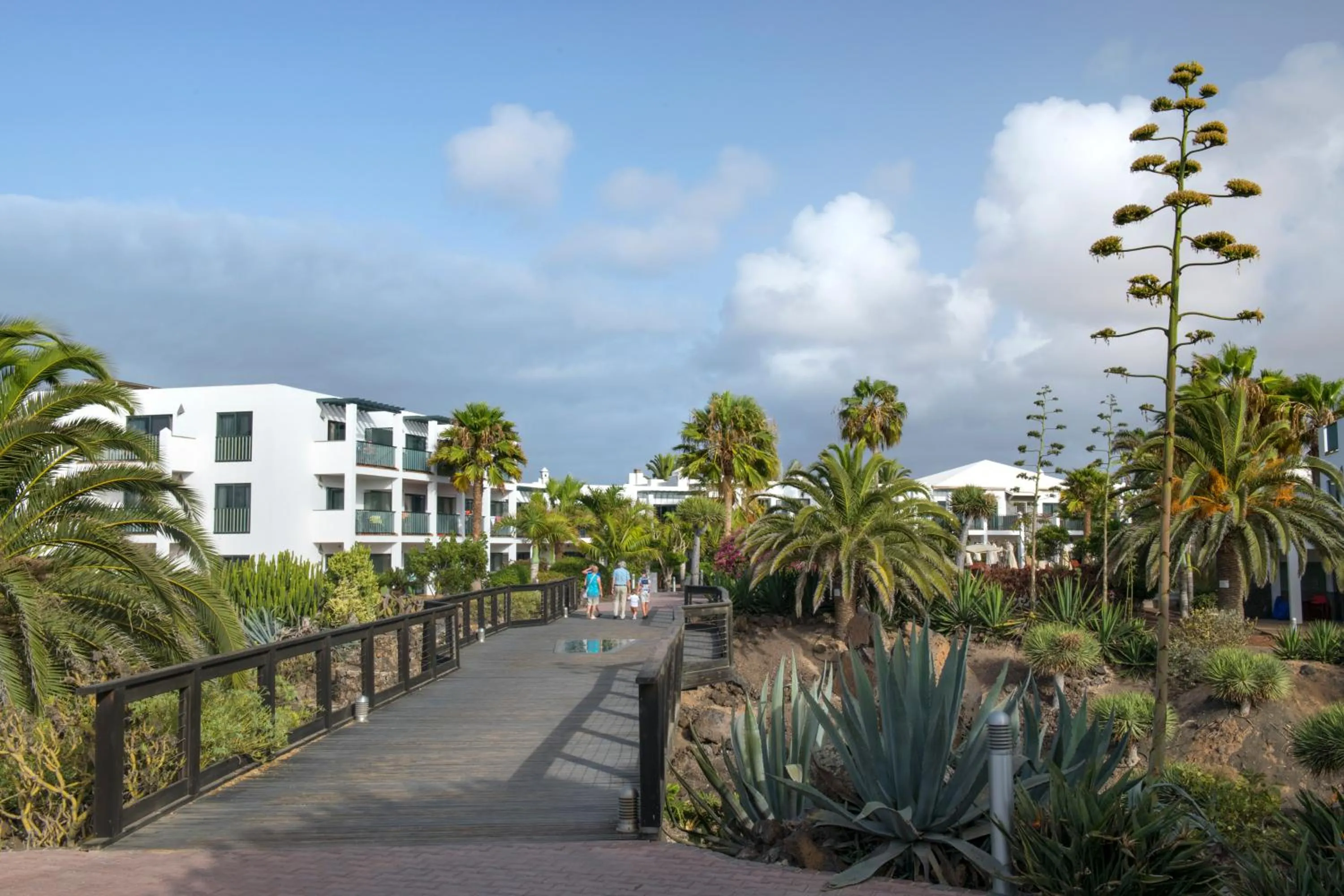 Garden in Las Marismas de Corralejo