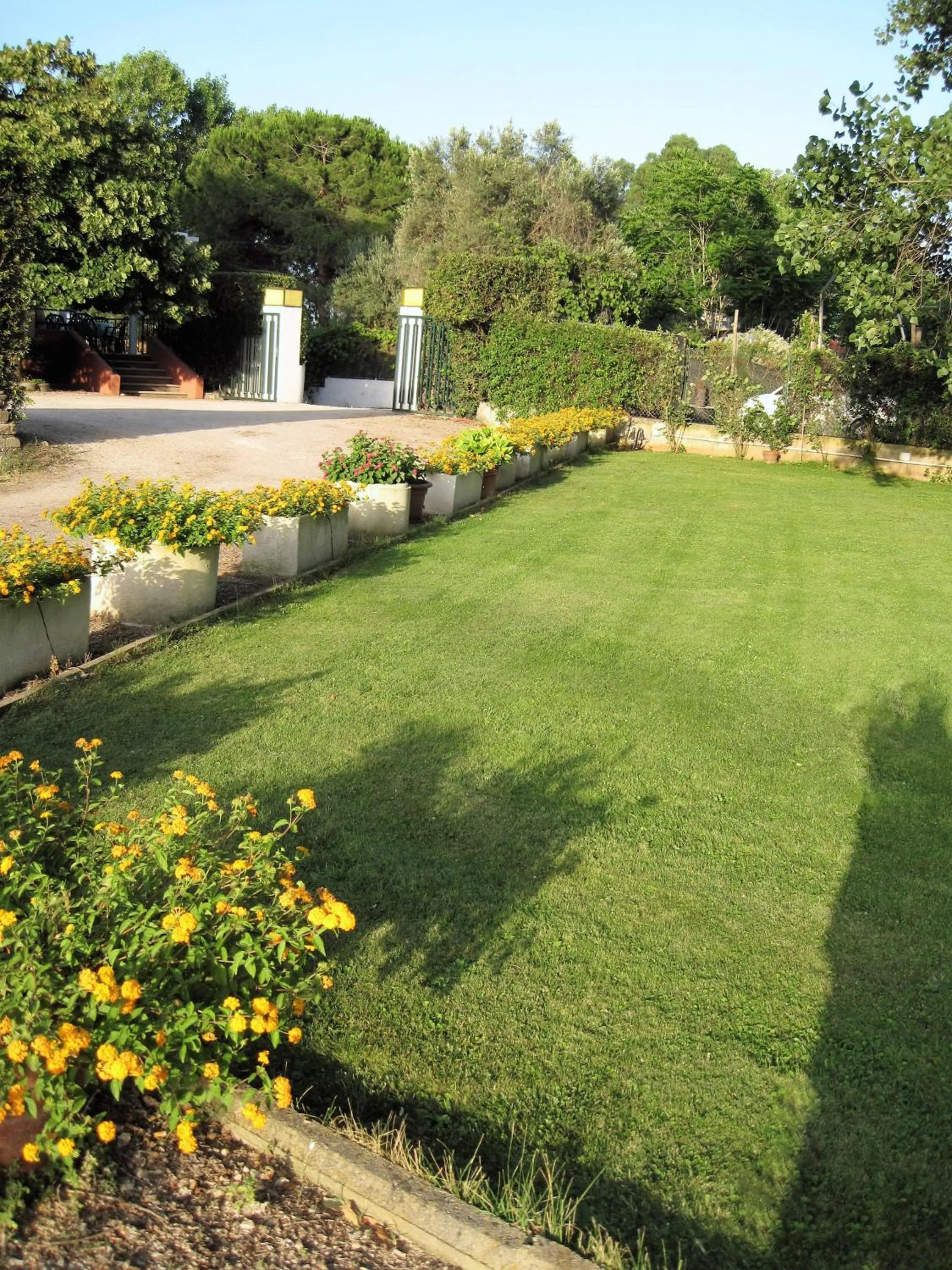 Garden in Hotel Le Pleiadi