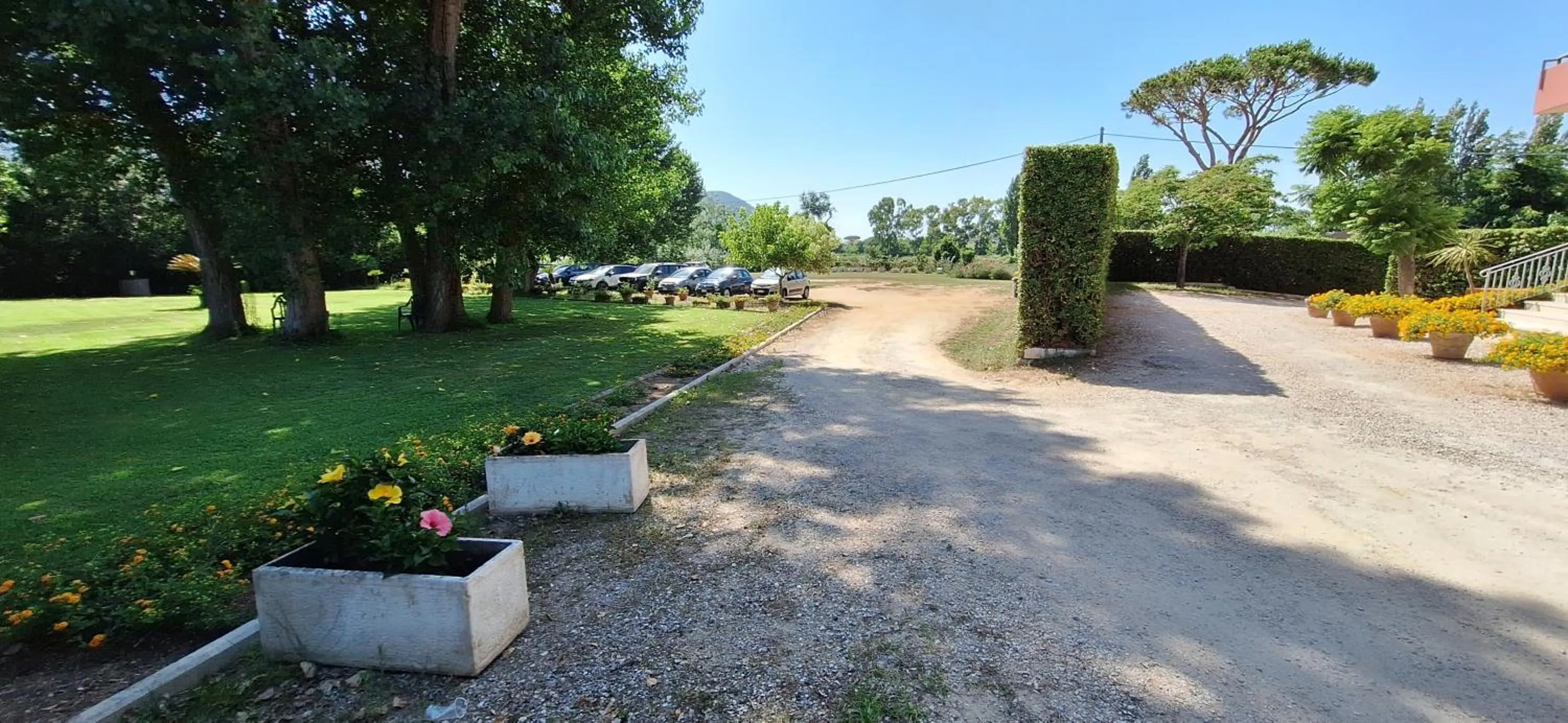 Garden in Hotel Le Pleiadi
