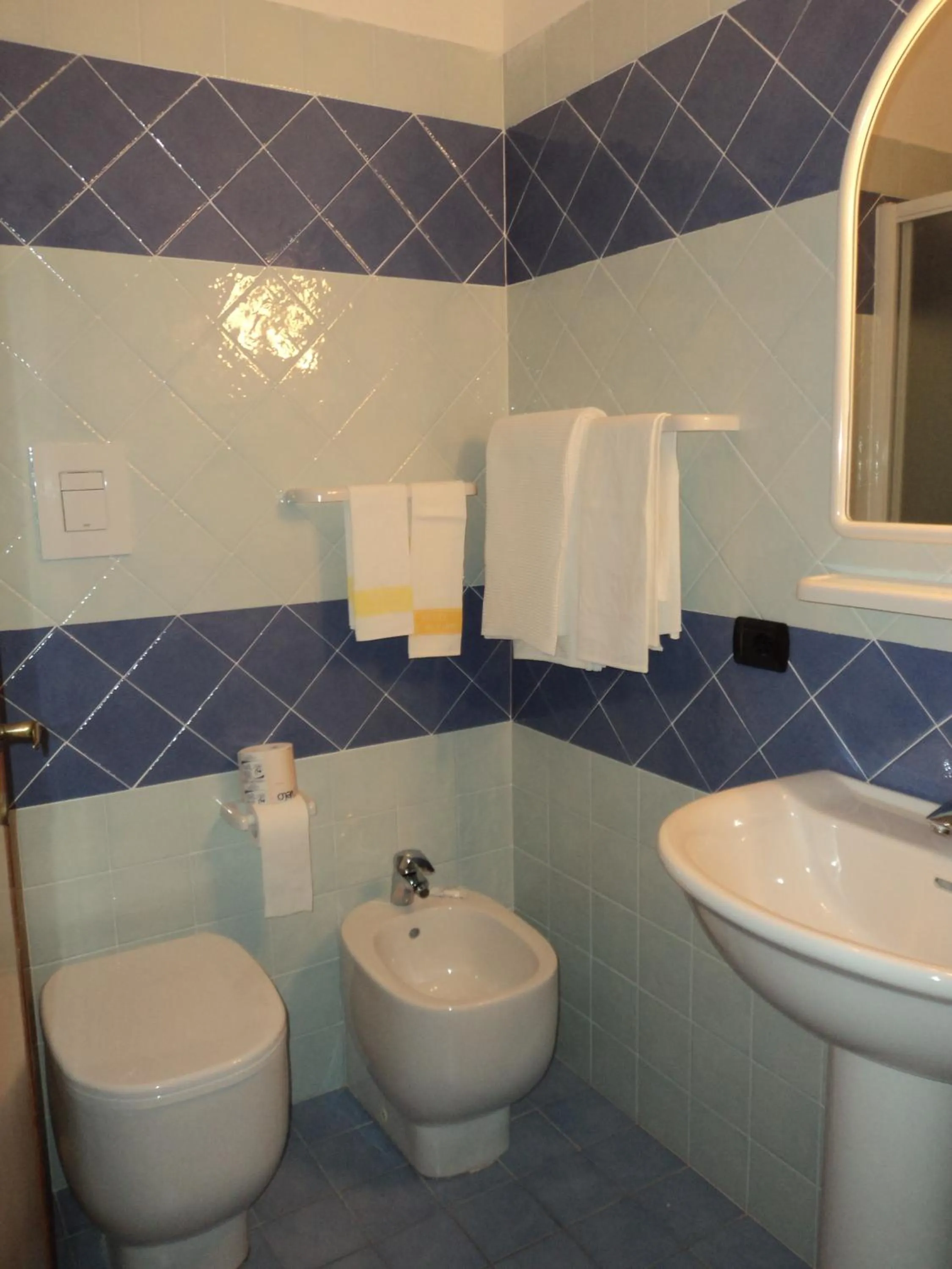 Bathroom in Hotel Le Pleiadi