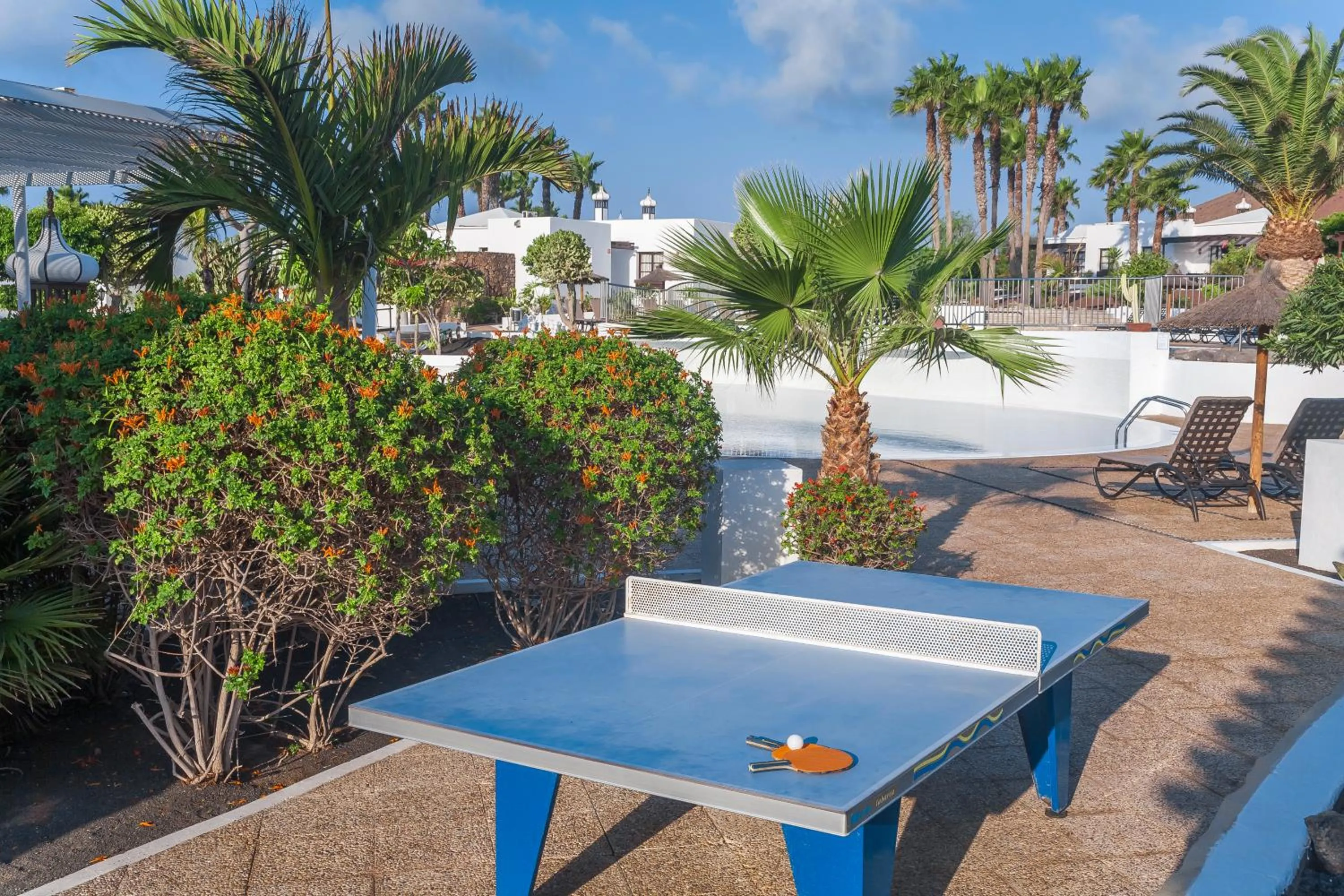 Entertainment in Jardines del Sol