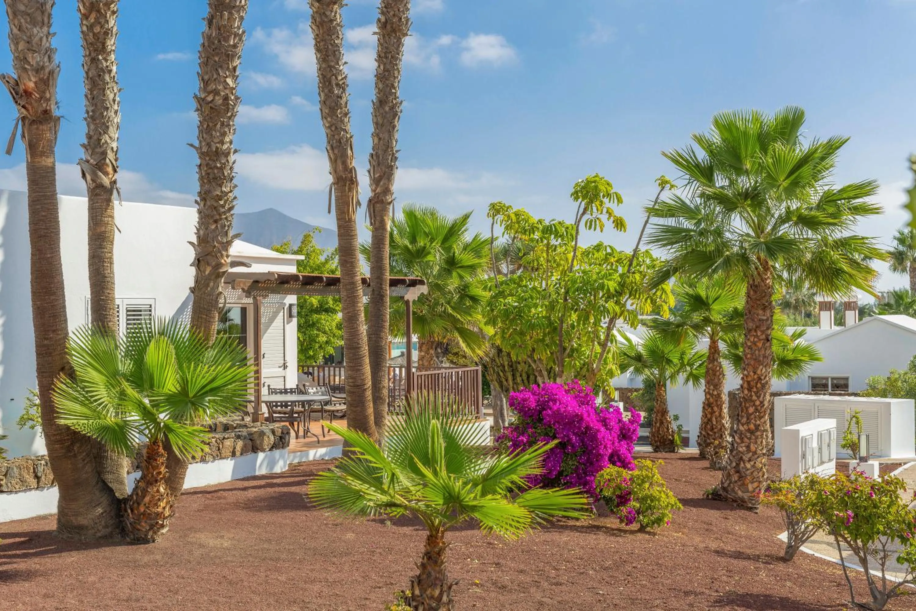 Garden in Jardines del Sol