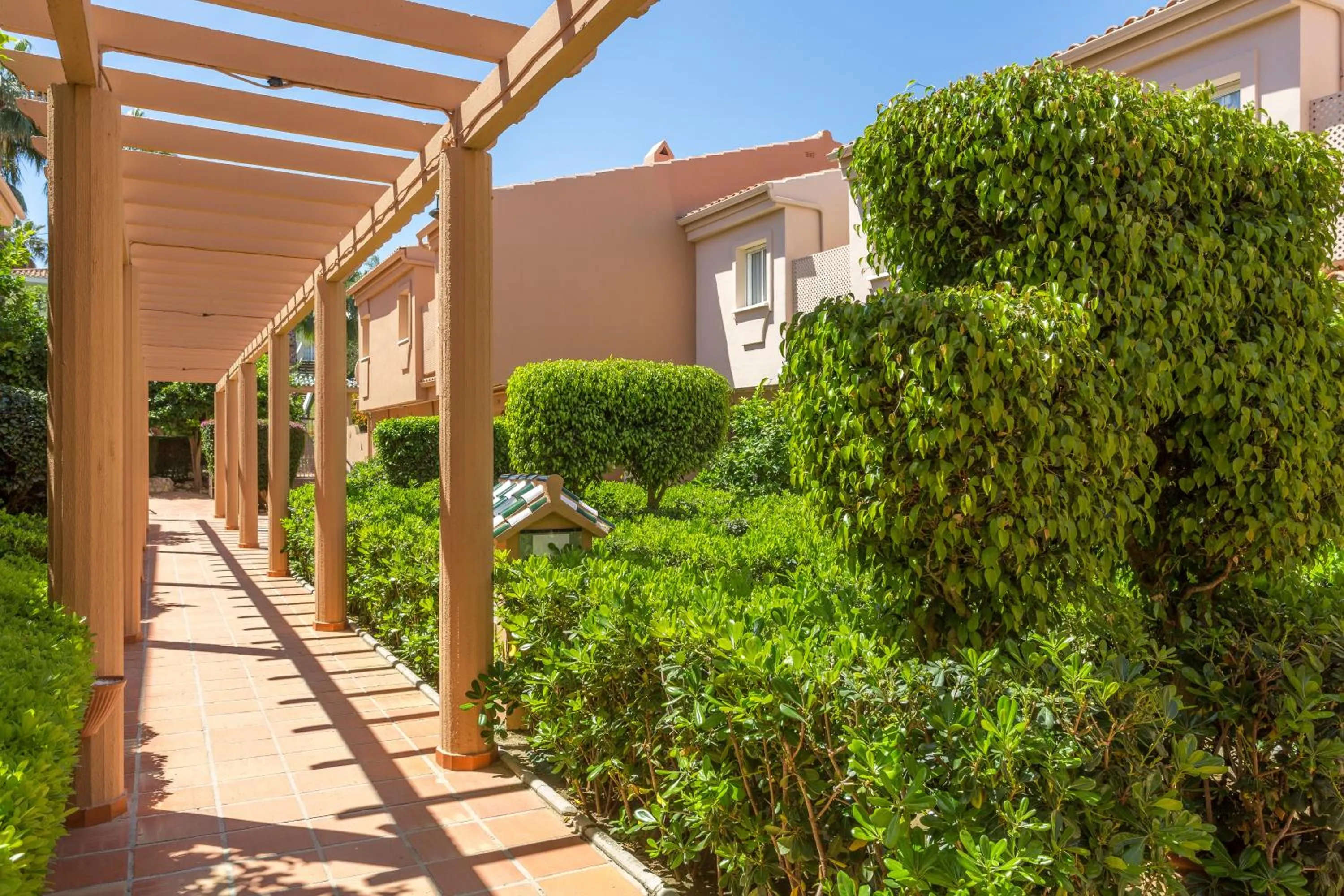 Garden in Los Amigos Beach Club