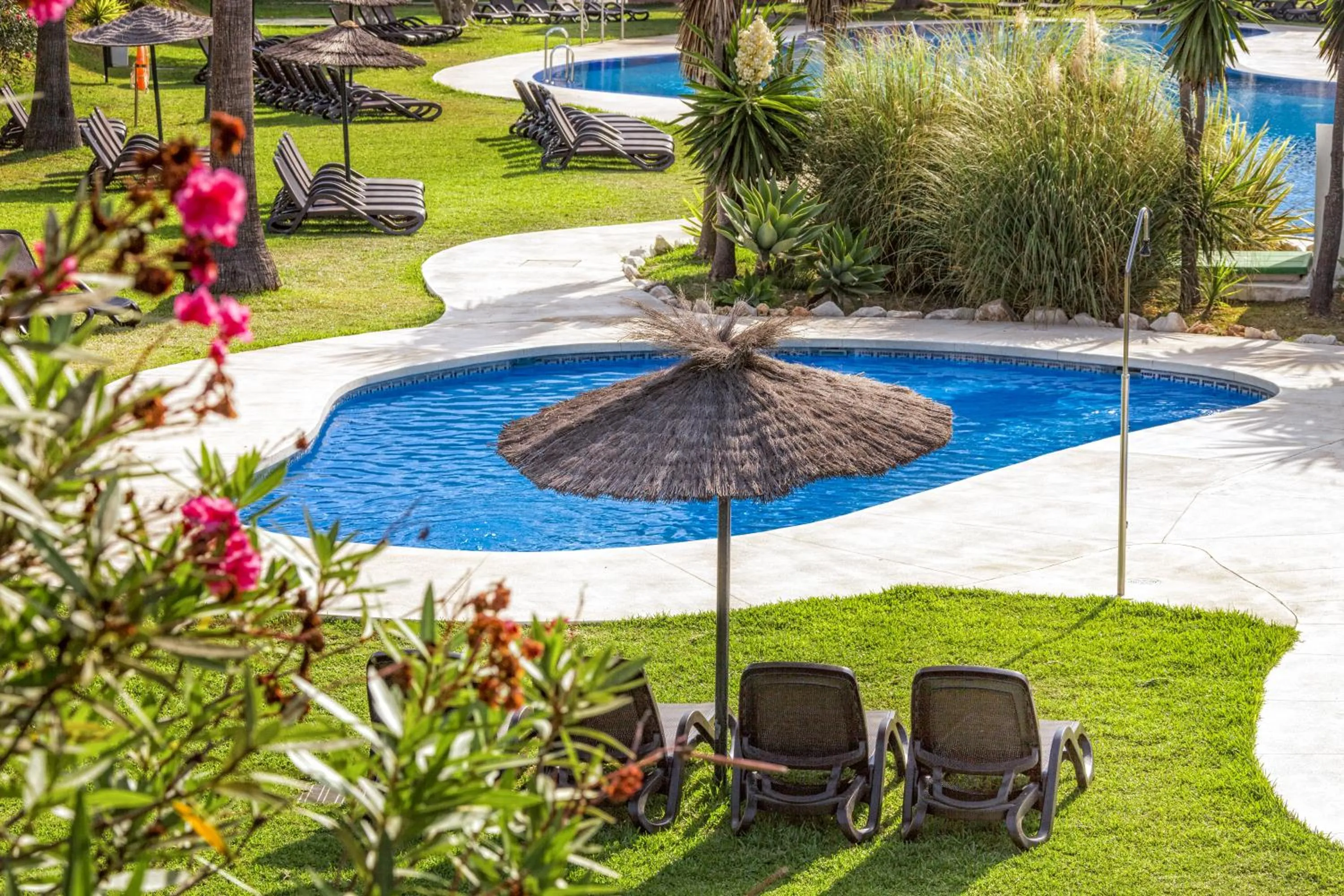 Swimming pool in Los Amigos Beach Club