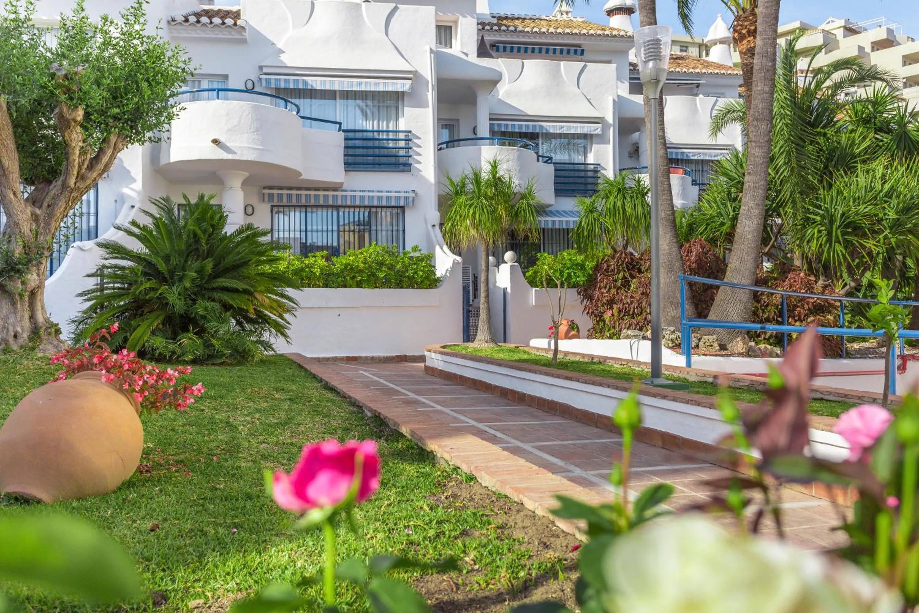 Garden in Sahara Sunset