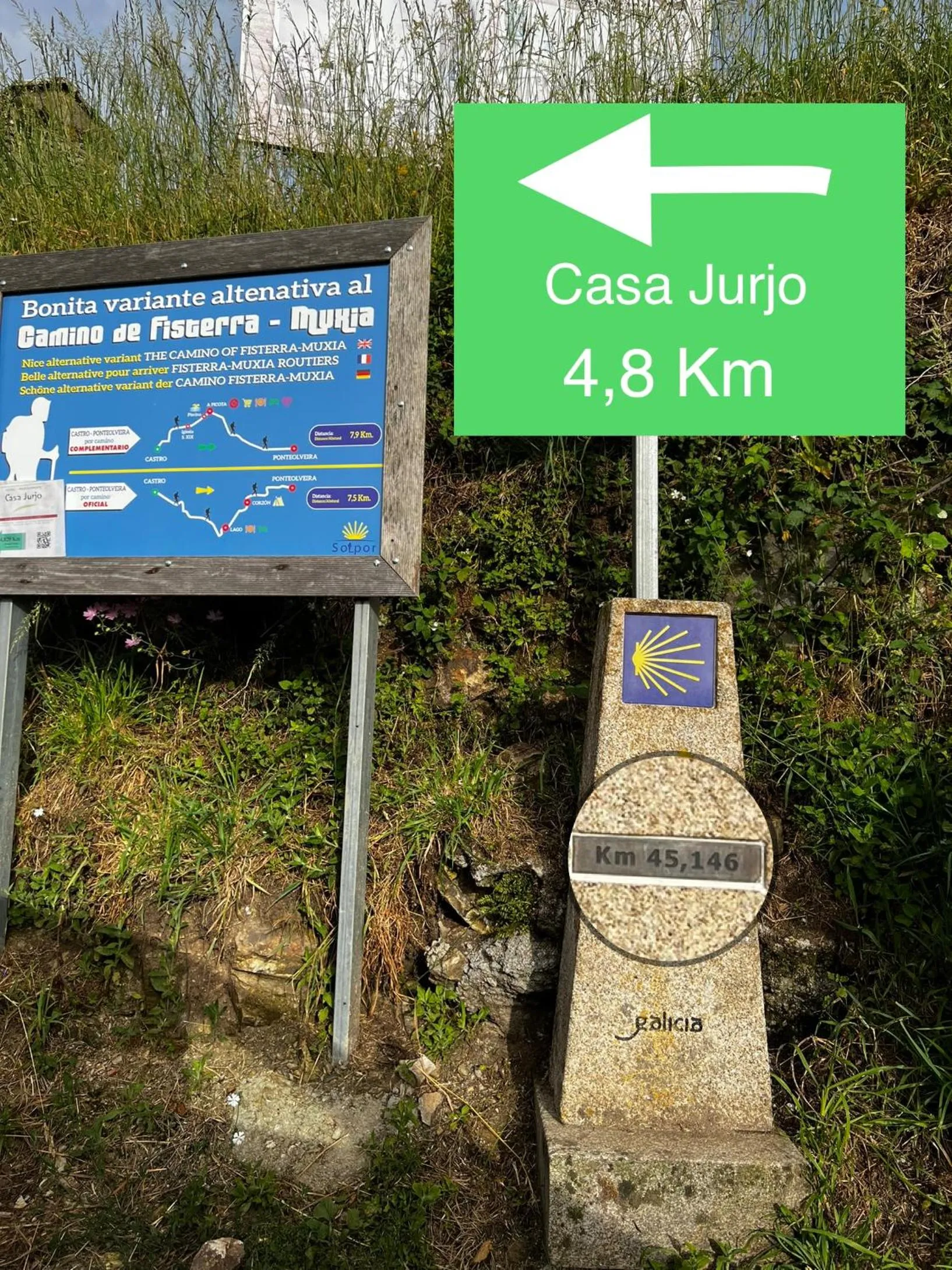 Property logo or sign in Hotel Casa Jurjo