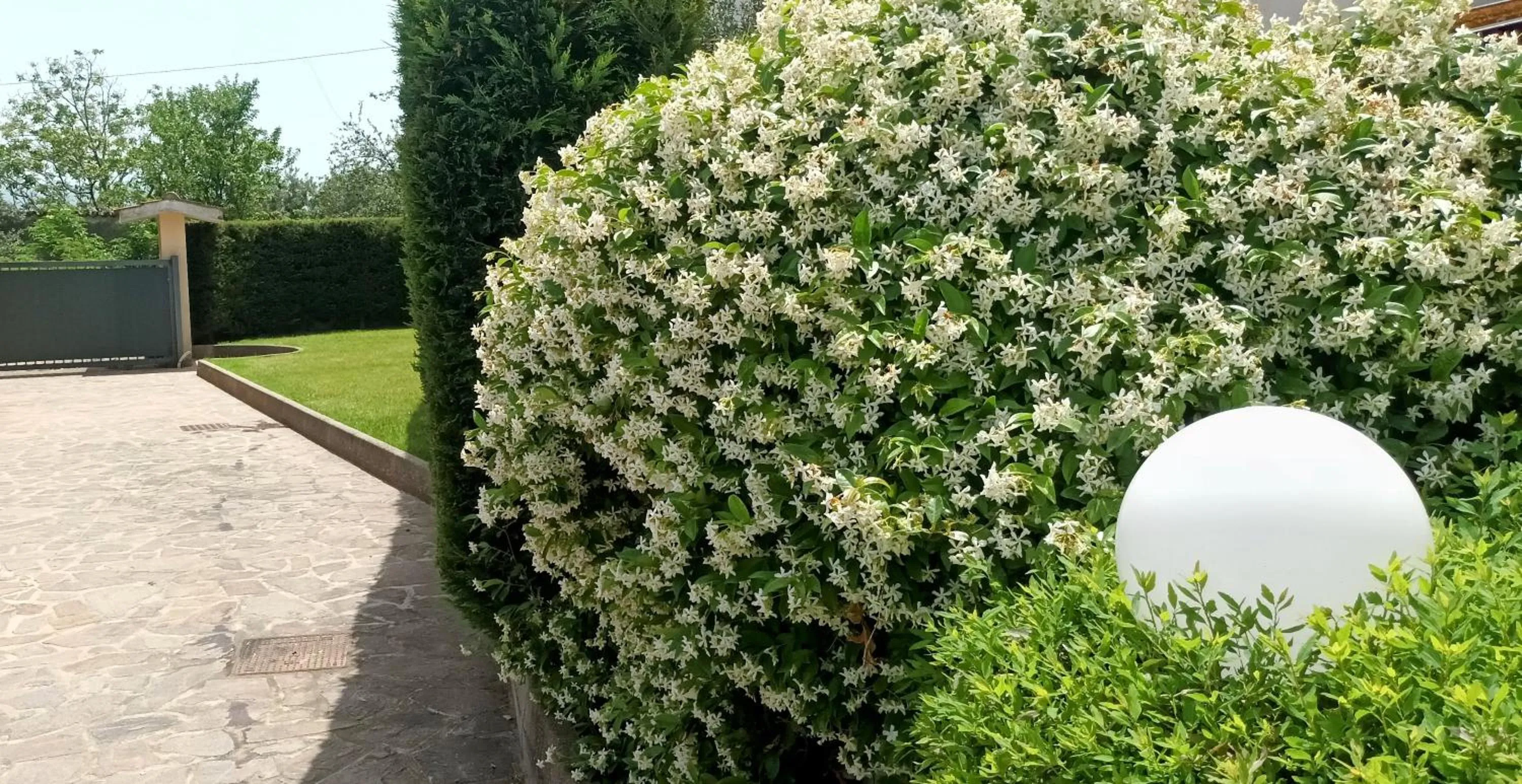 Day in La Residenza del Marchesato