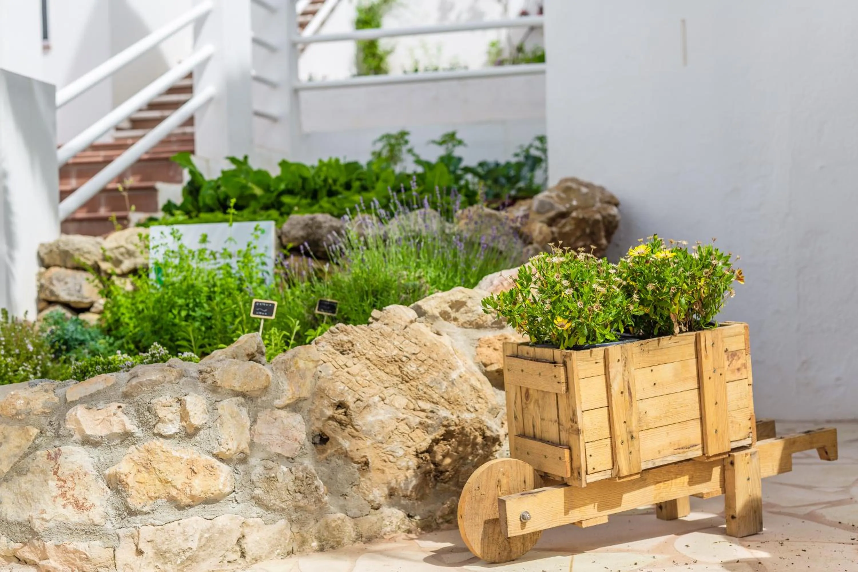 Garden in White Sands Beach Club