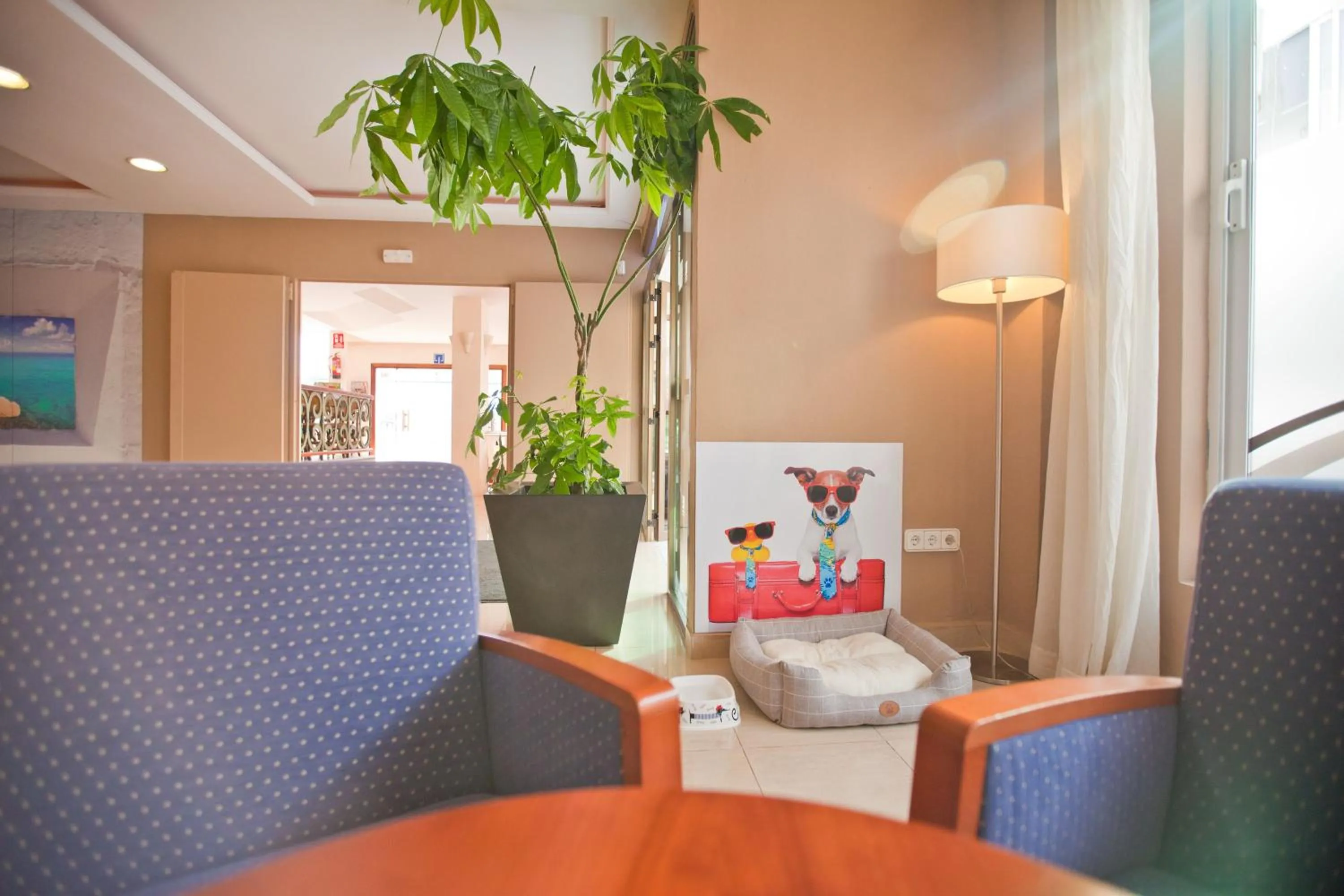 Pets in azuLine Hotel Mediterráneo