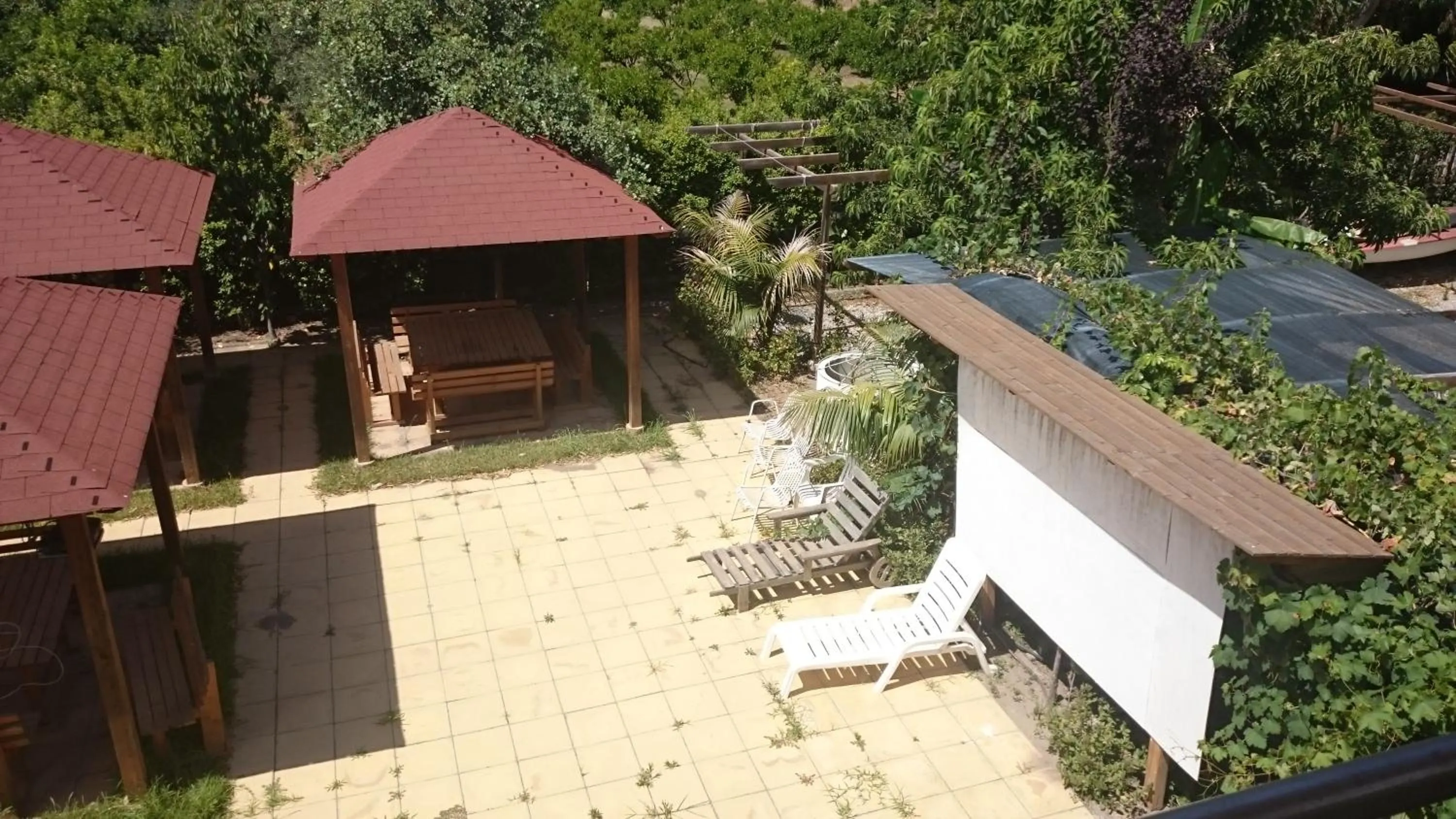 Day in B&B Pineta Mare