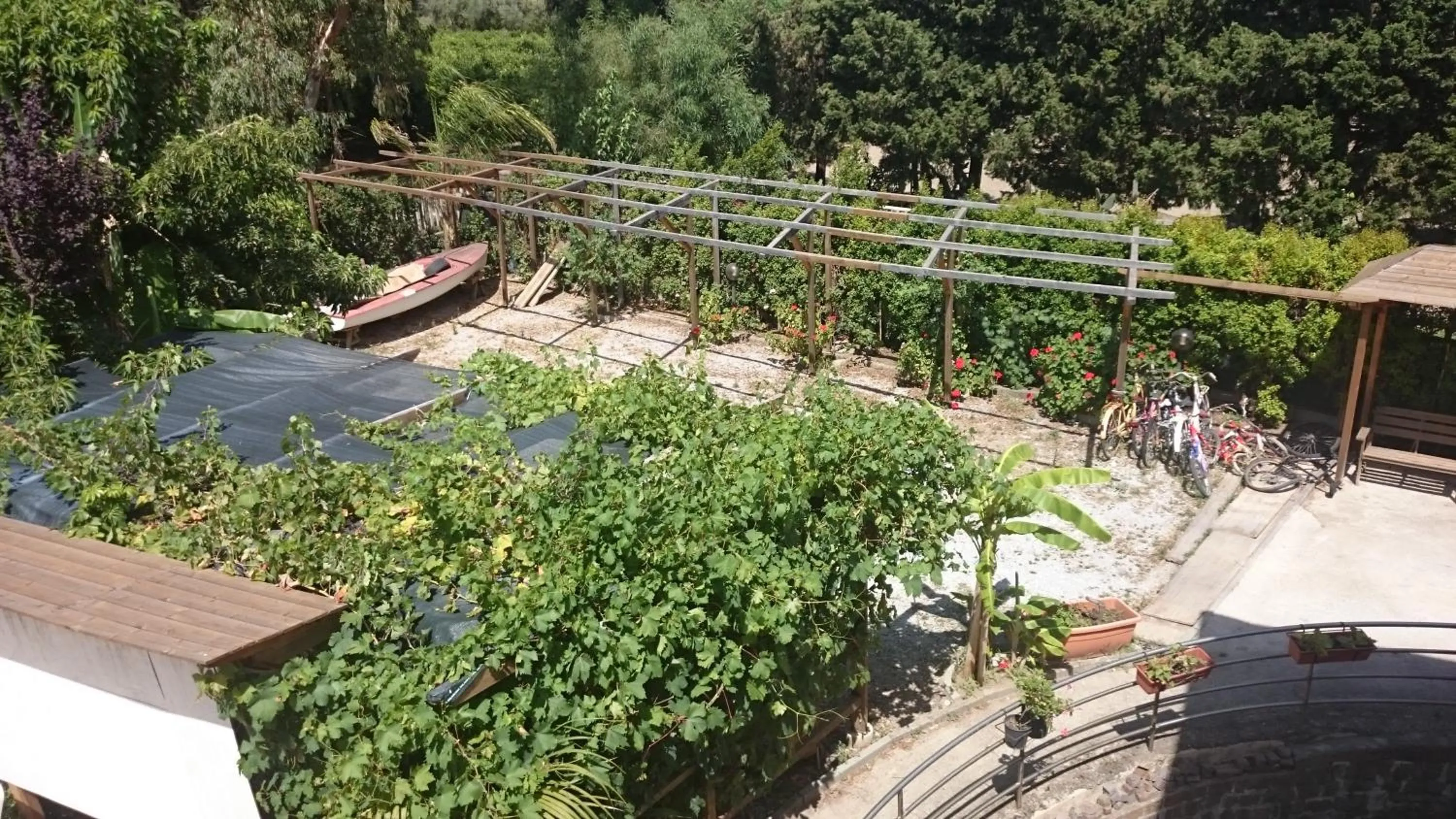 Day in B&B Pineta Mare