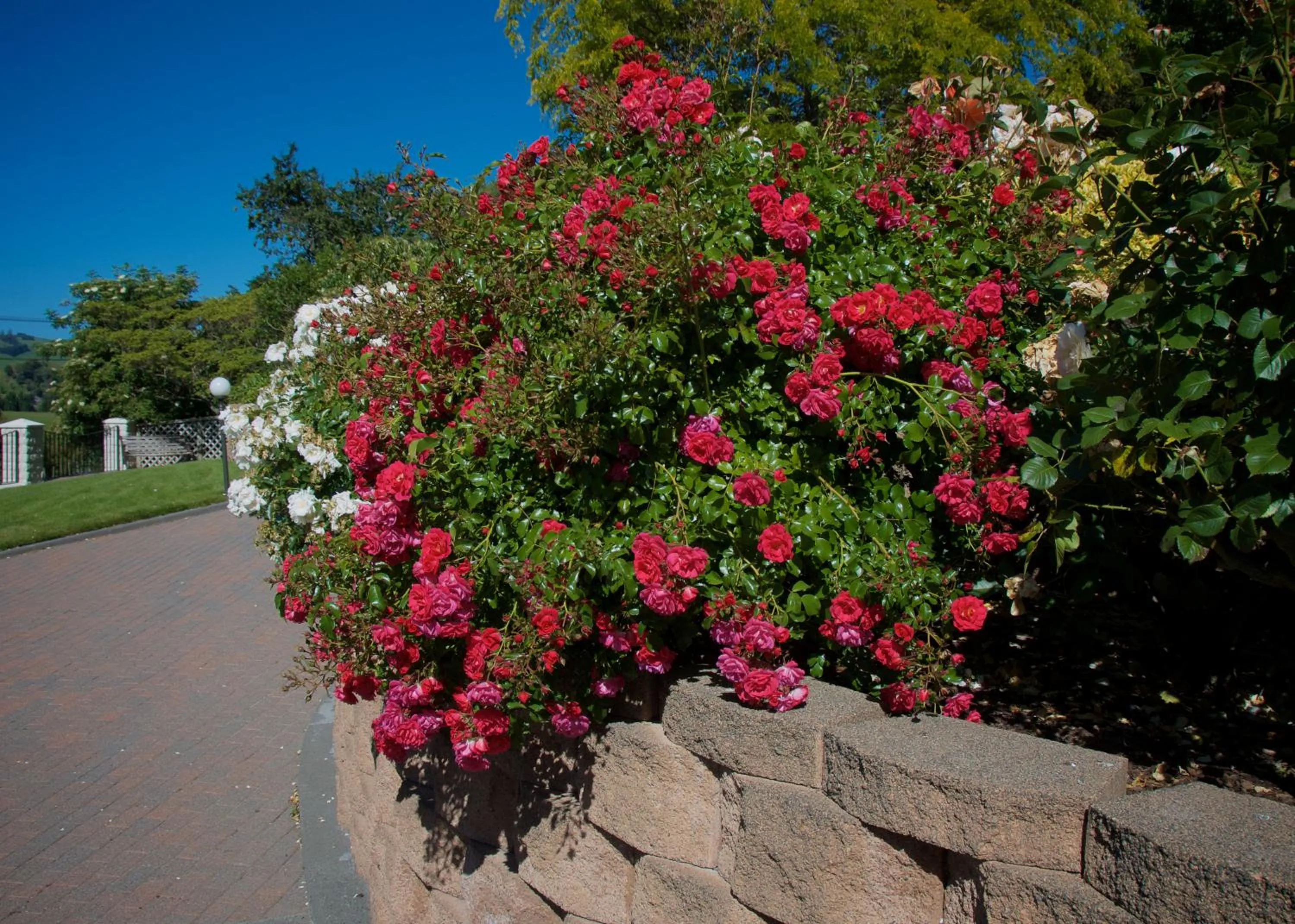 Natural landscape in Llanerchymedd
