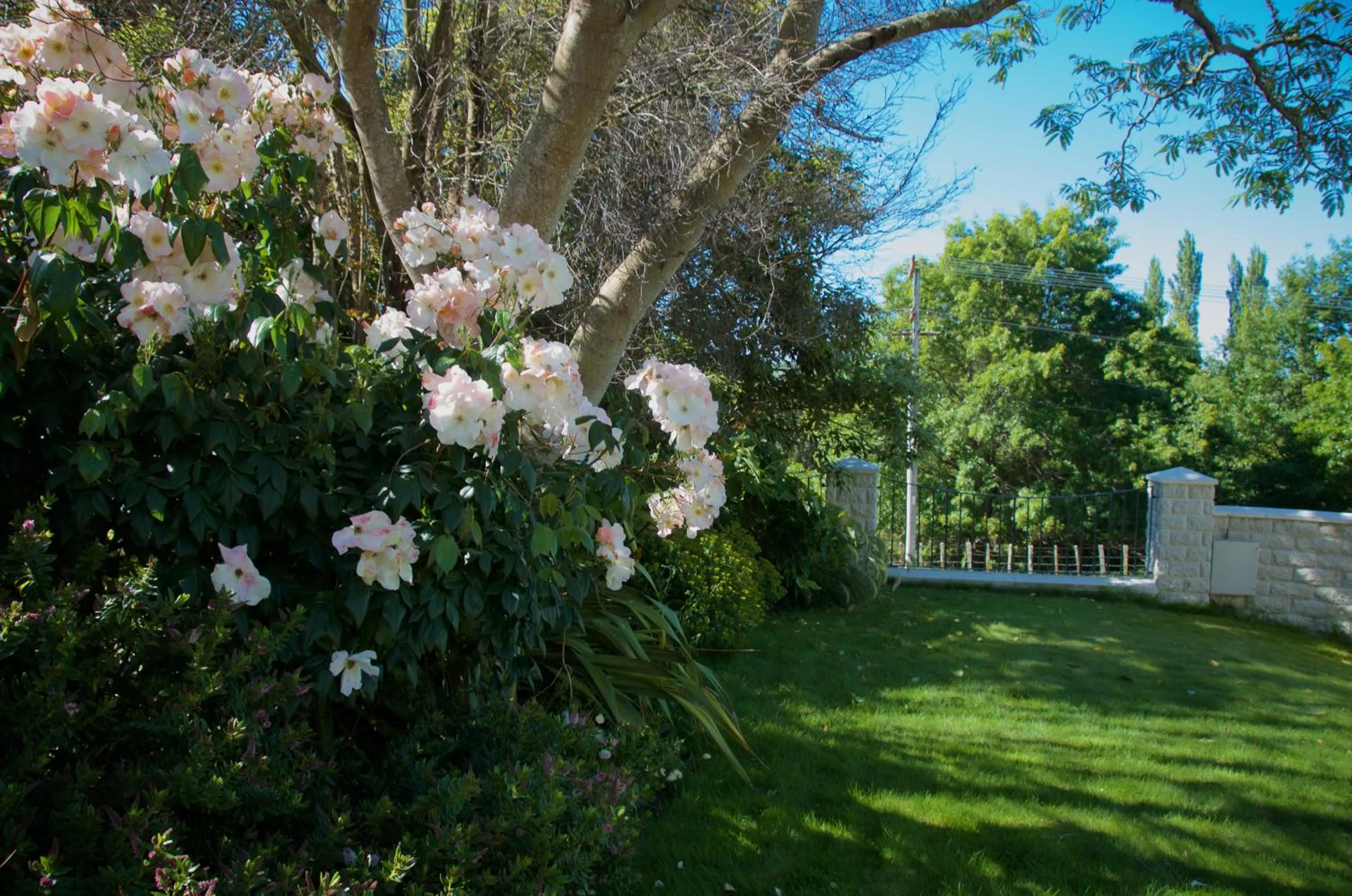 Natural landscape in Llanerchymedd