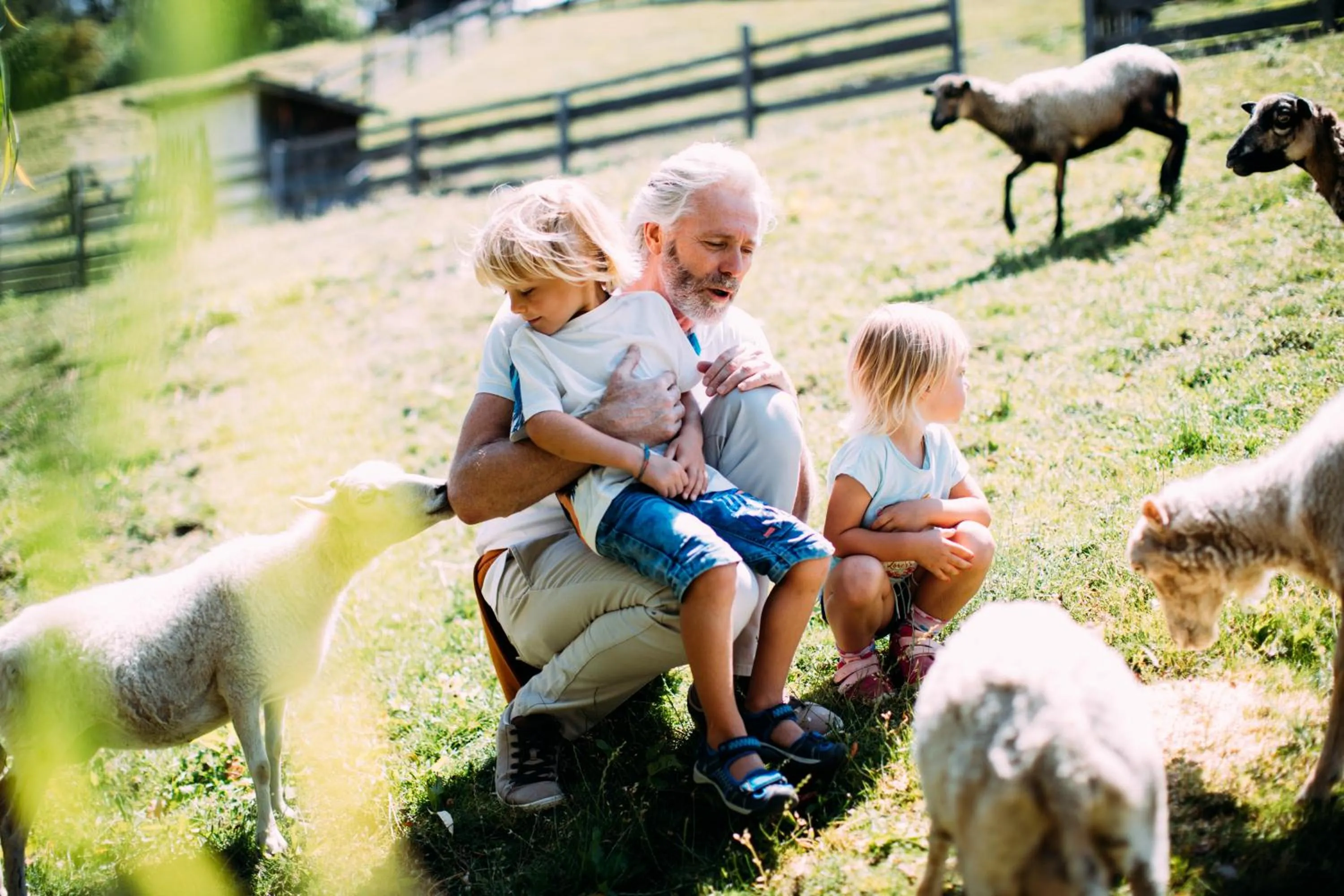 Pets in Pitzis Kinderhotel - Family Only