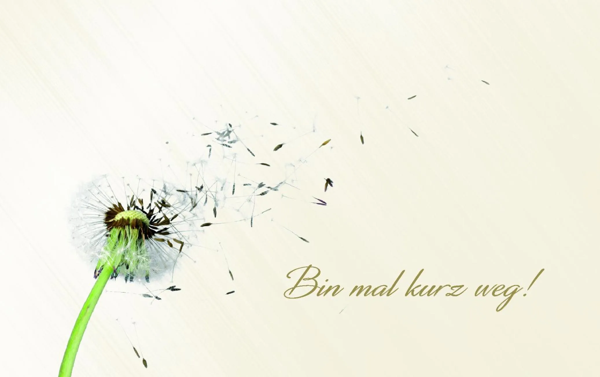 Spa and wellness centre/facilities in Pitzis Kinderhotel - Family Only