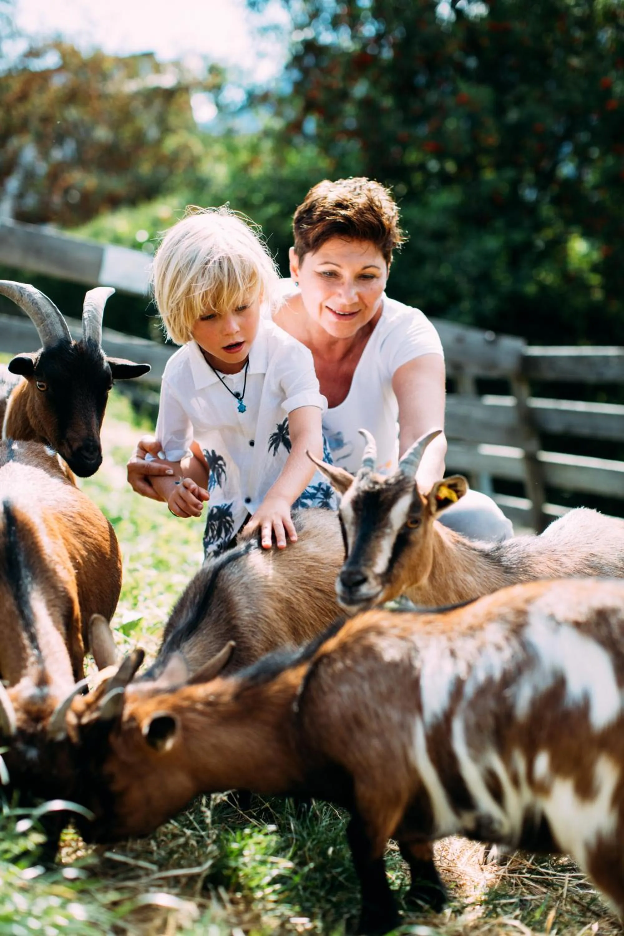 Pets in Pitzis Kinderhotel - Family Only