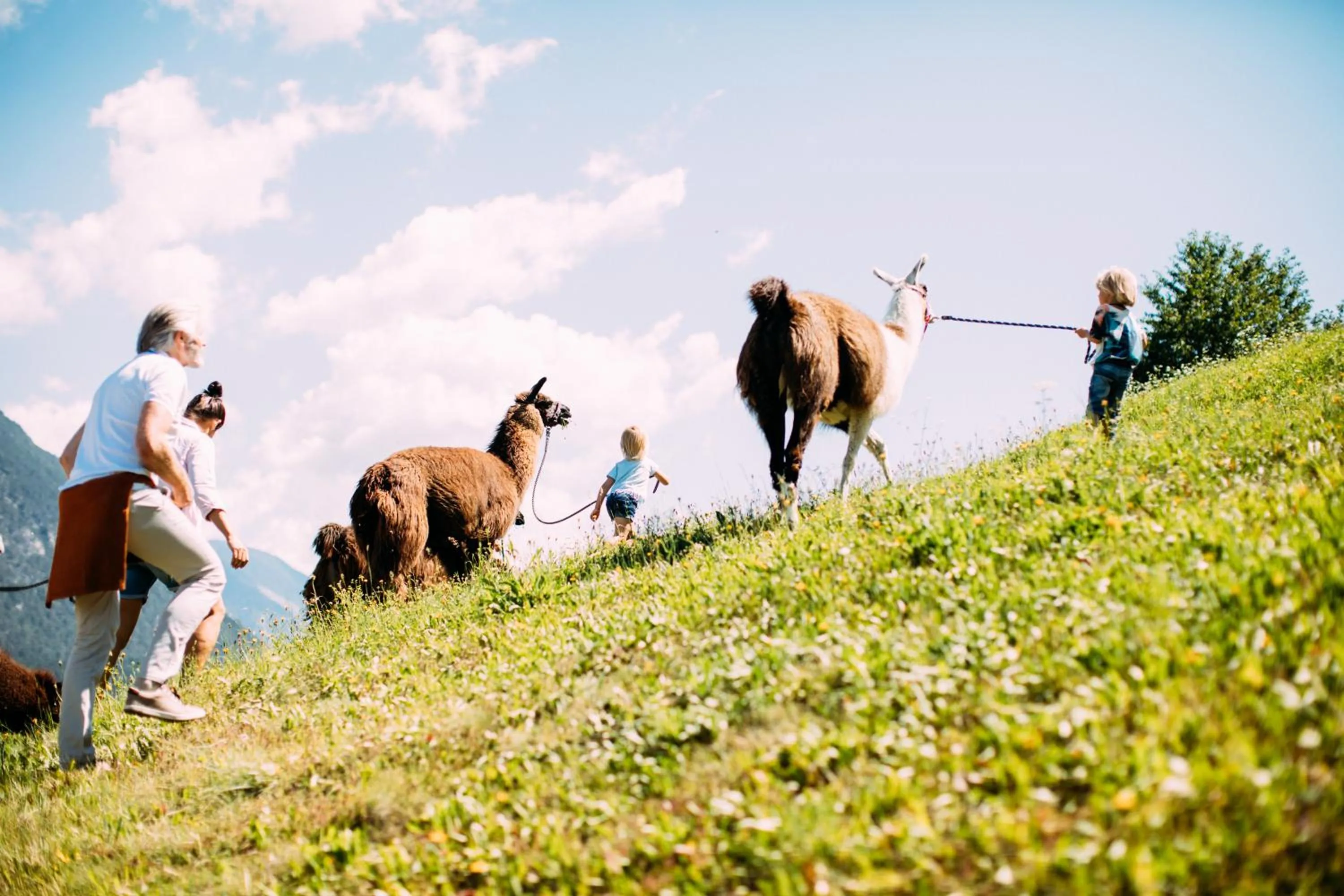 Hiking in Pitzis Kinderhotel - Family Only