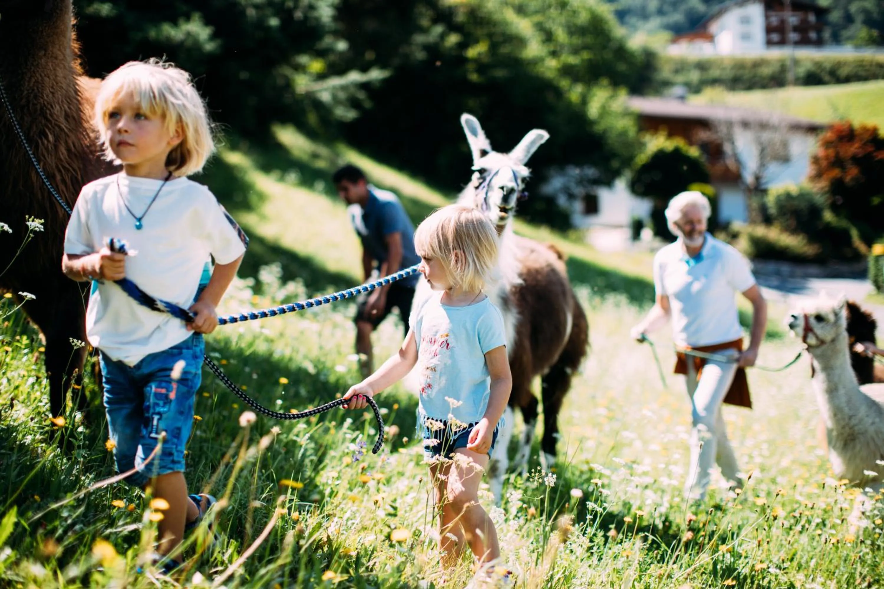 Hiking in Pitzis Kinderhotel - Family Only
