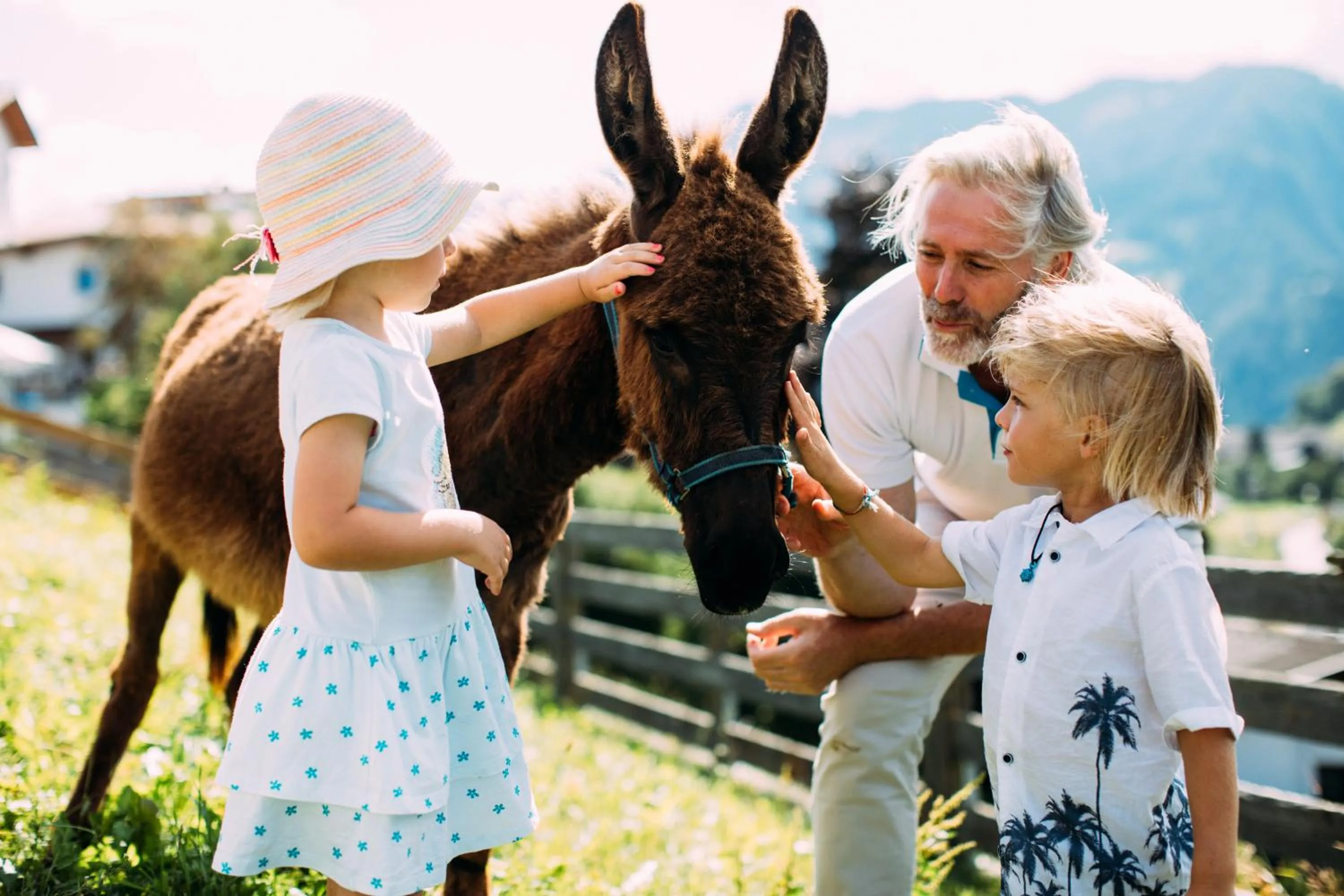 Pets in Pitzis Kinderhotel - Family Only