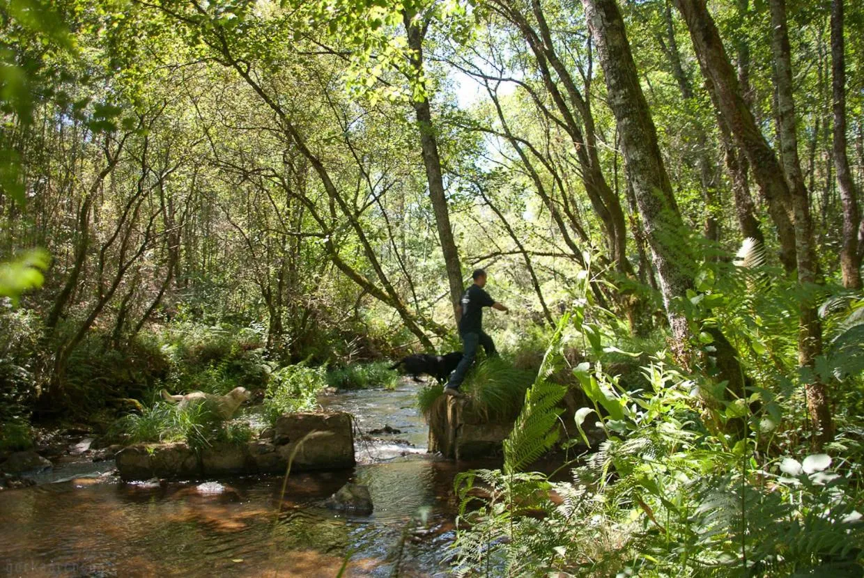 Hiking in O Muiño de Pena
