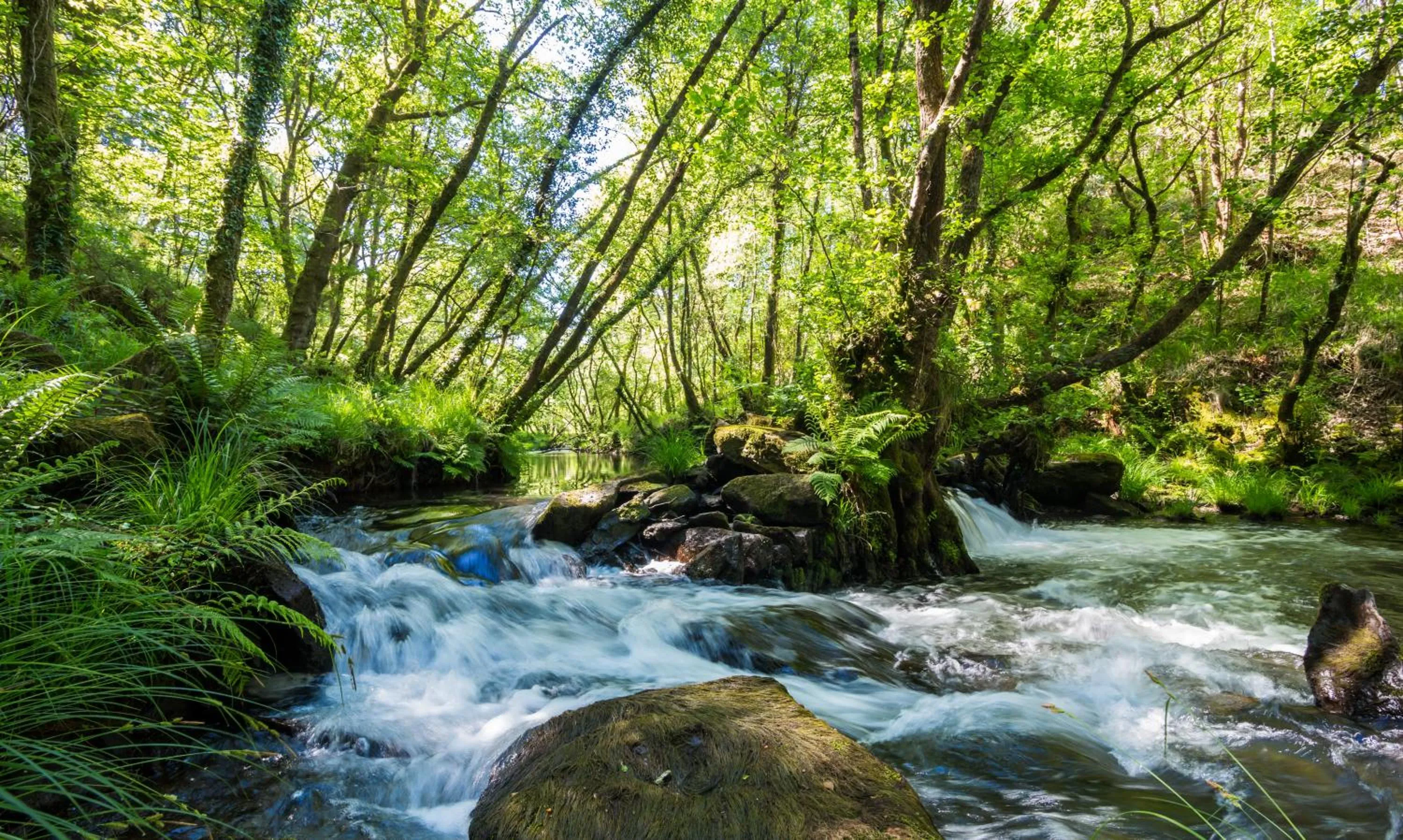 Property building in O Muiño de Pena