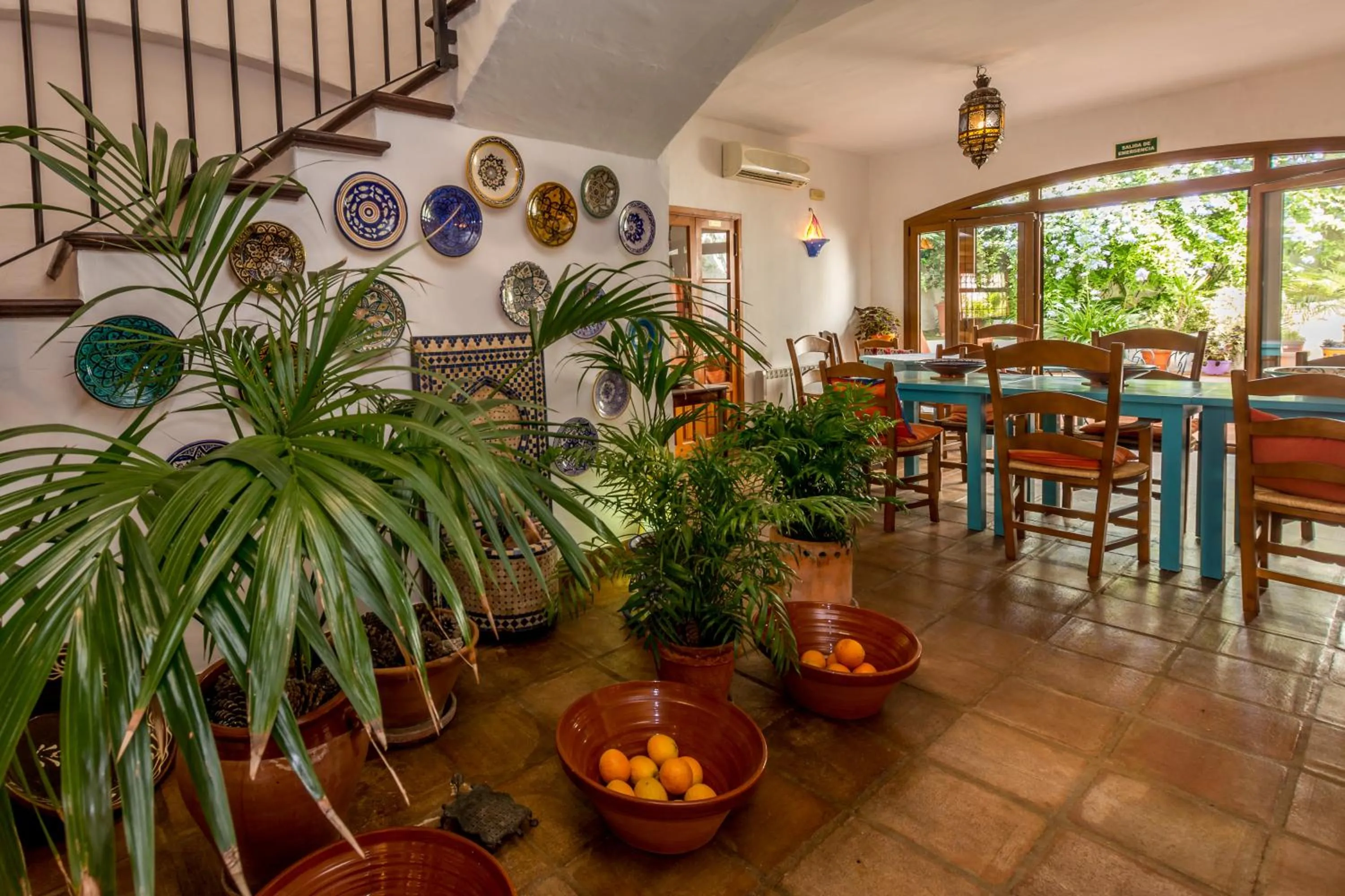 Other in Hotel Los Castaños