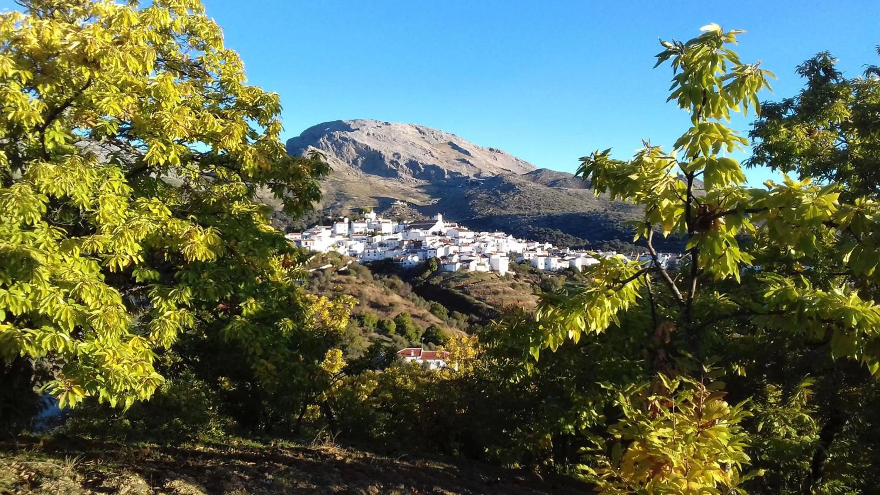 Natural landscape in Hotel Los Castaños