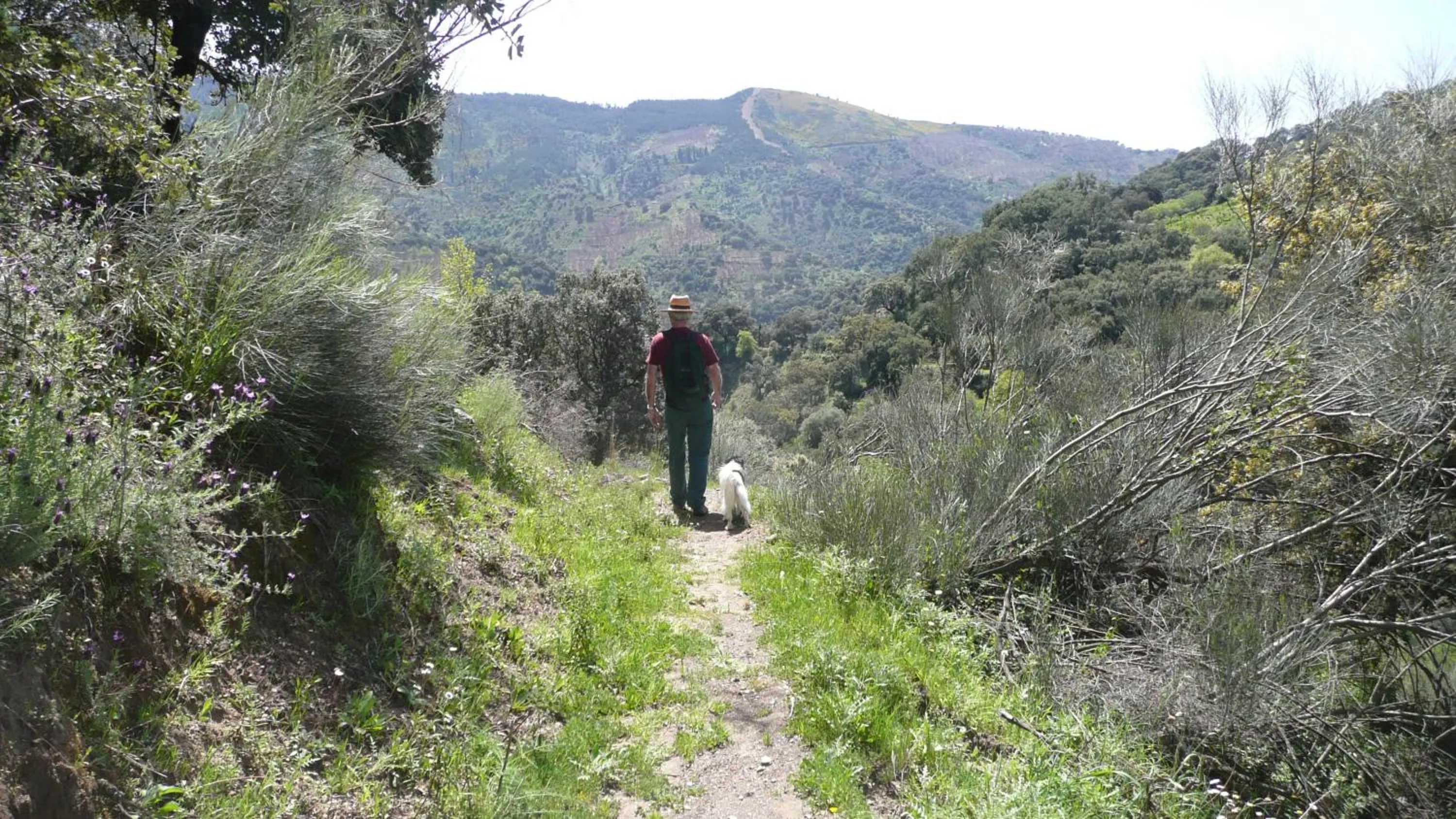 Hiking in Hotel Los Castaños