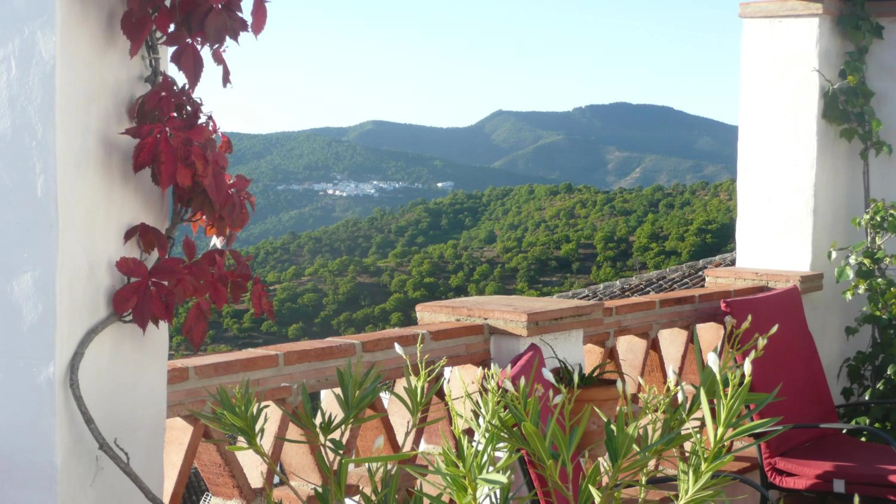 View (from property/room) in Hotel Los Castaños