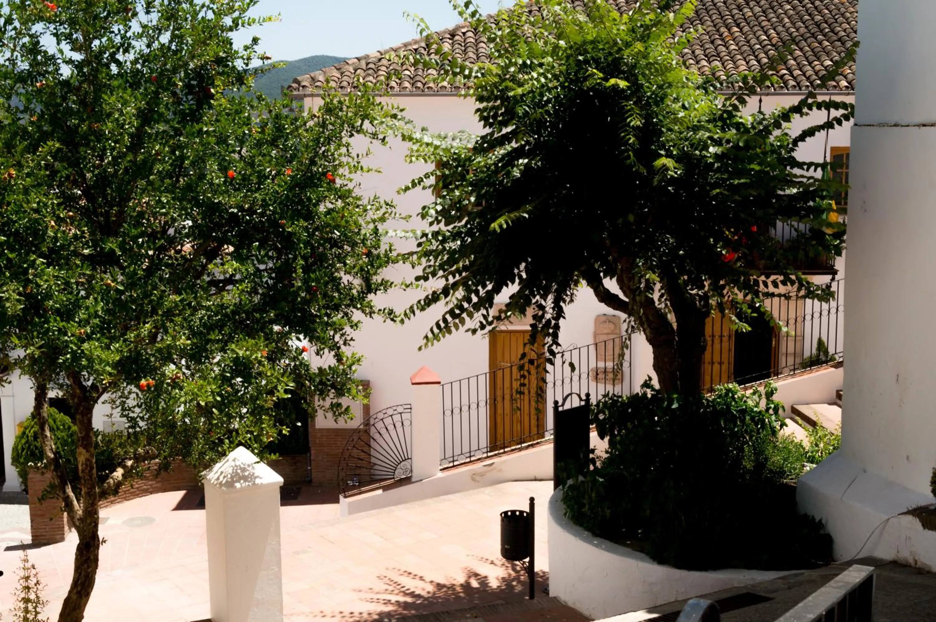 Neighbourhood in Hotel Los Castaños