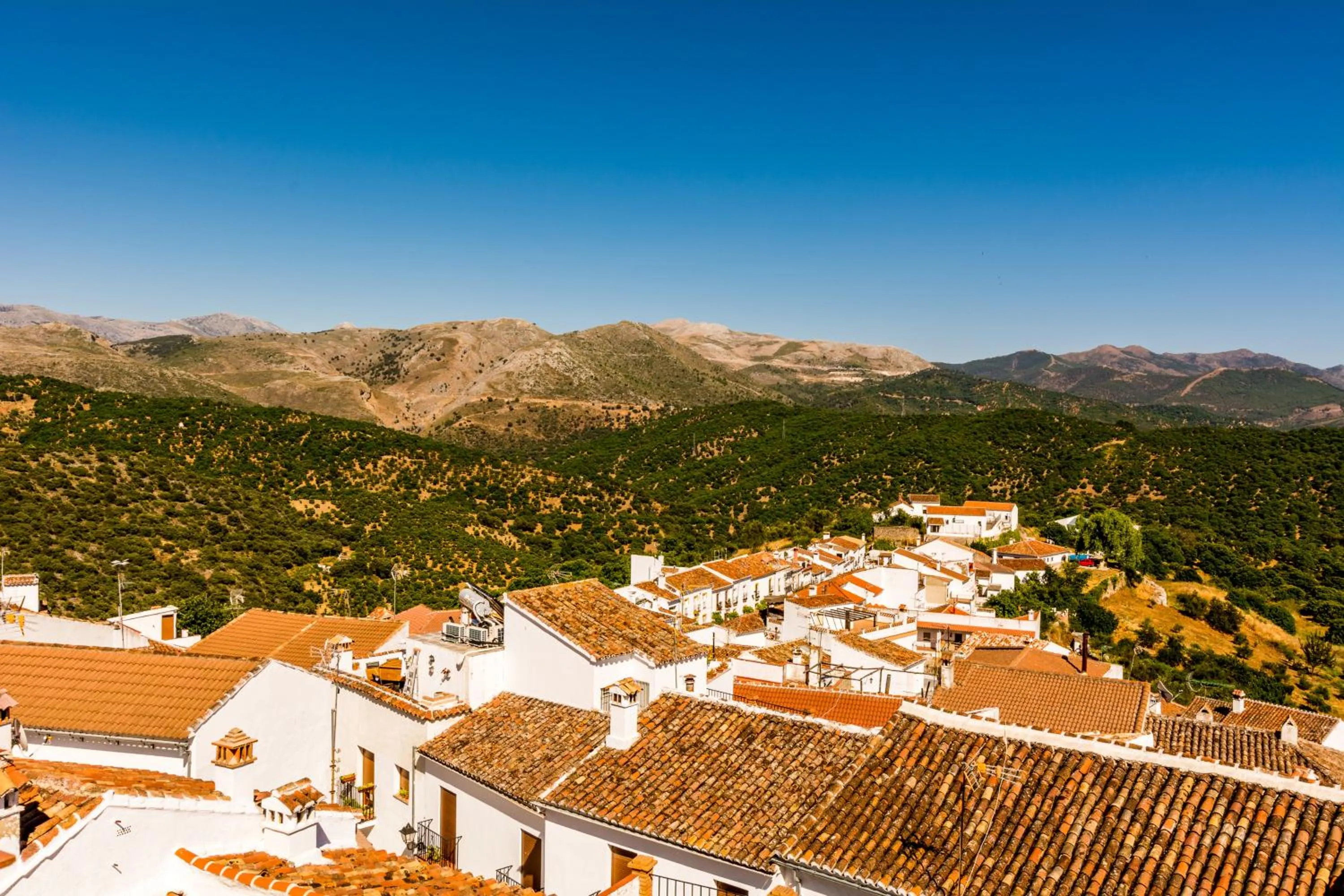 Neighbourhood in Hotel Los Castaños
