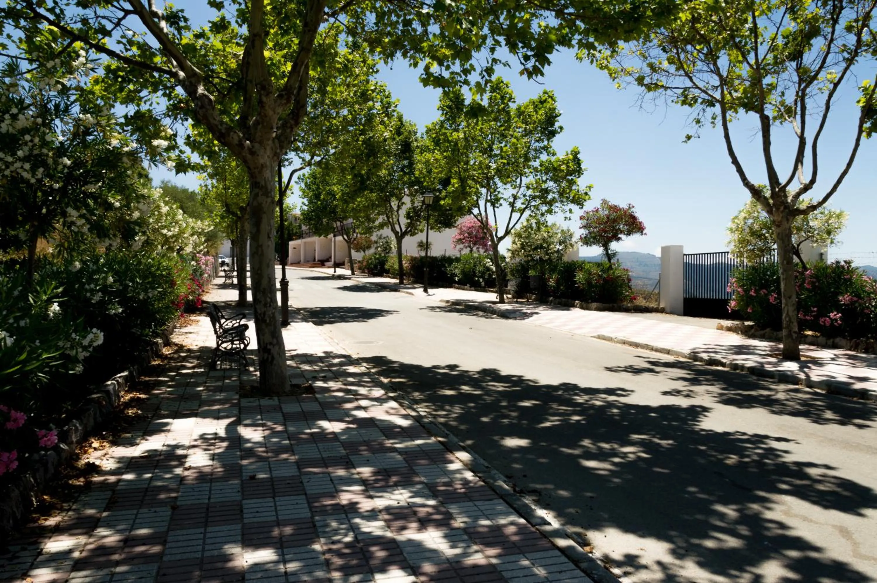 Neighbourhood in Hotel Los Castaños