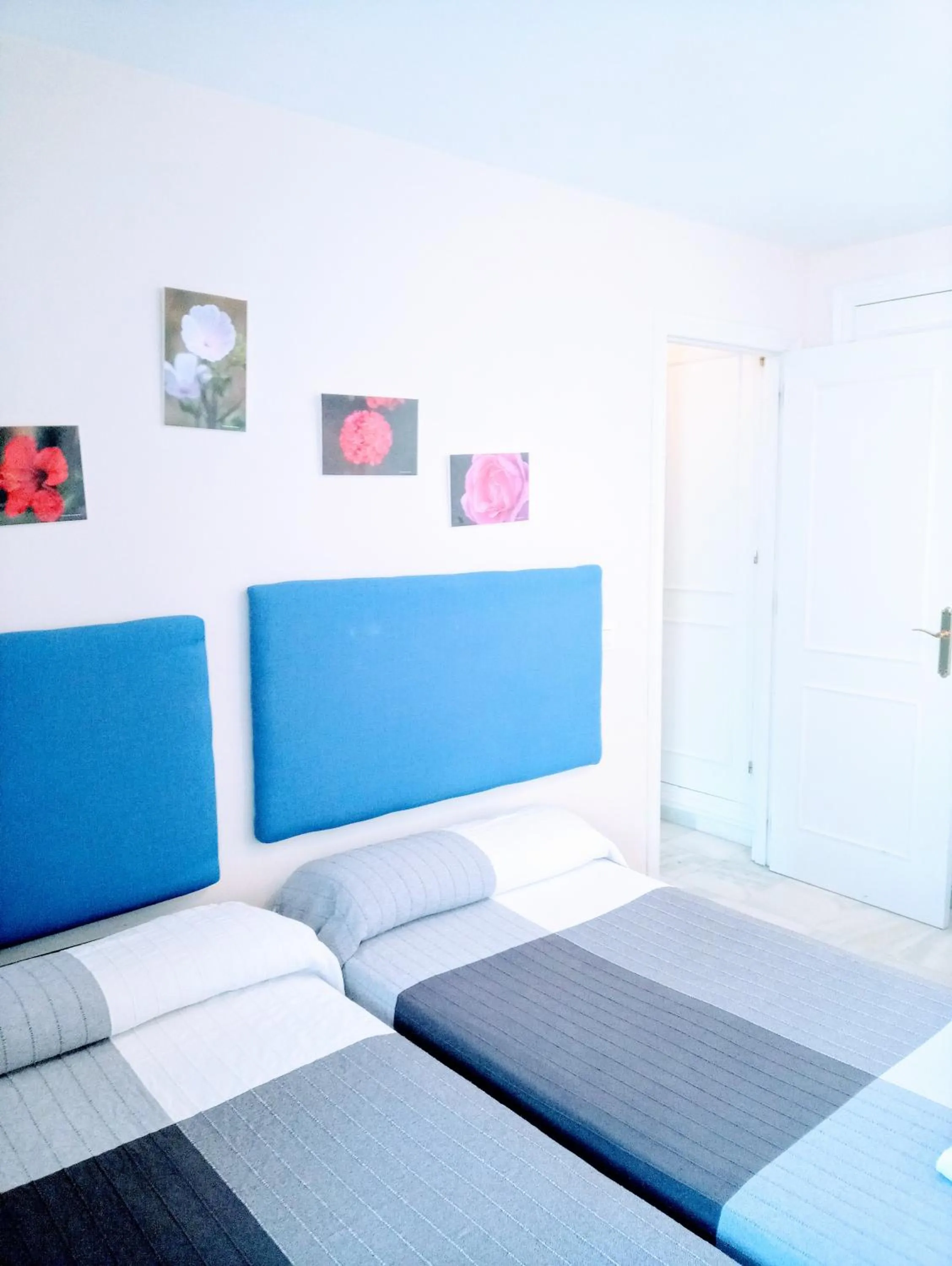 Bed in Apartamentos Larga 70