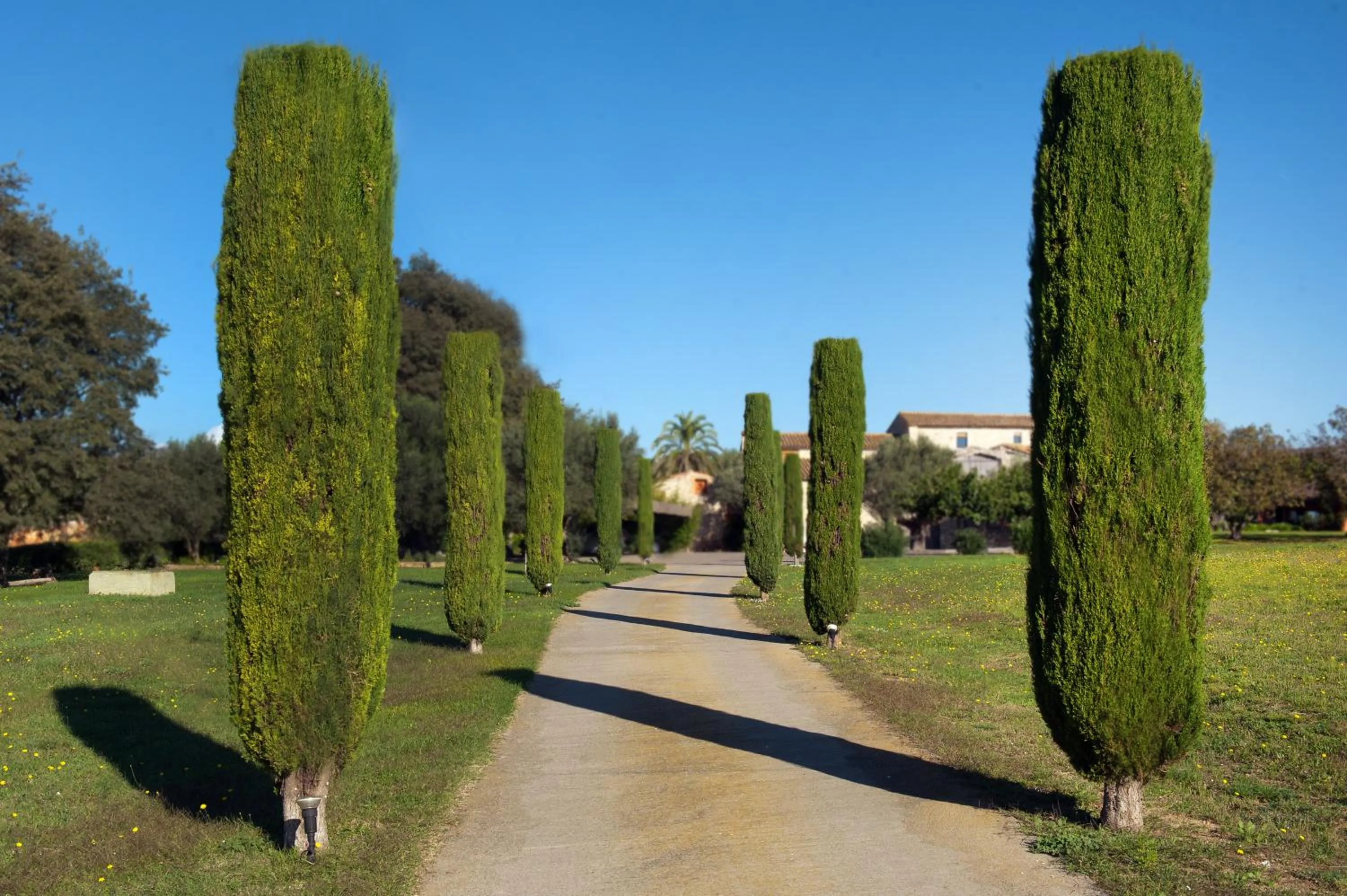 Facade/entrance in Mas Falgarona Hotel Boutique & SPA