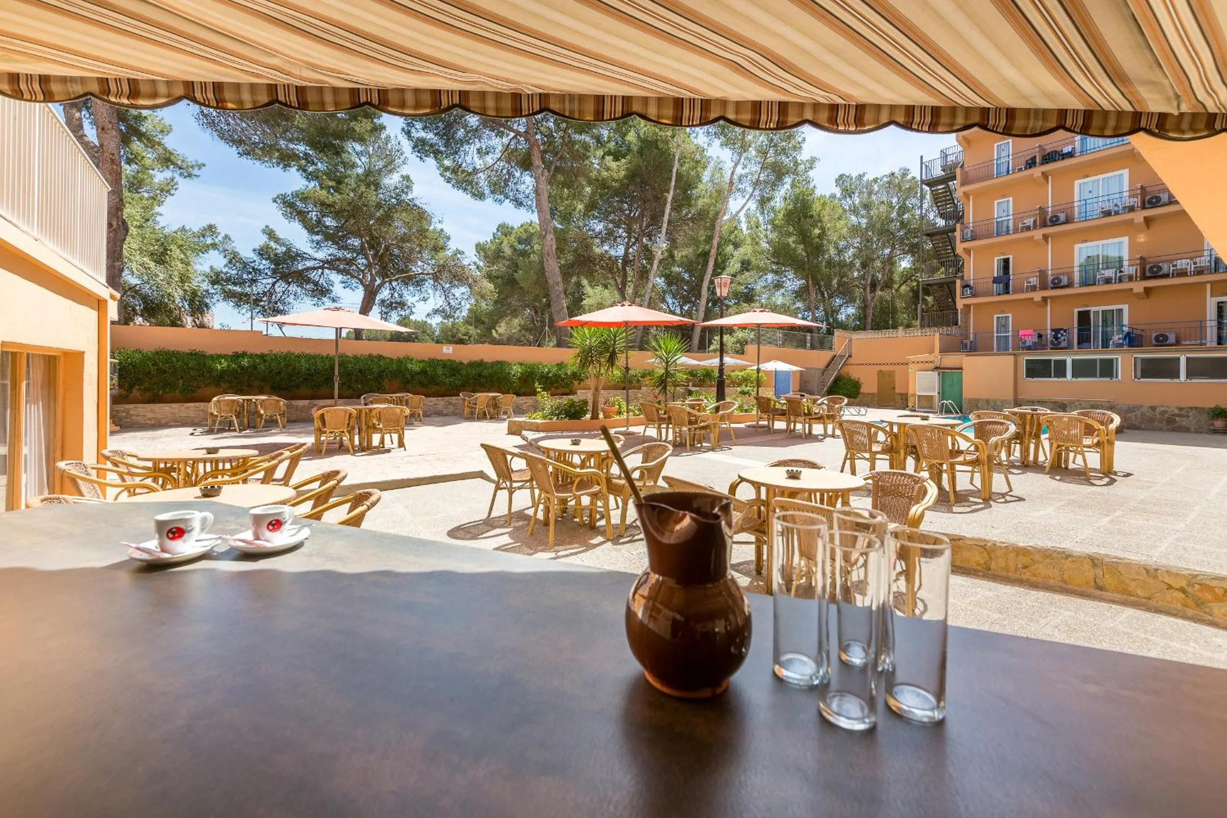 Food and drinks in Hotel Costa Mediterraneo